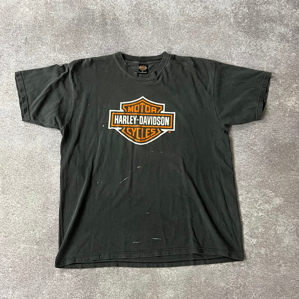 Y2K Harley Davidson Denver, Colorado Worn In Tee XL