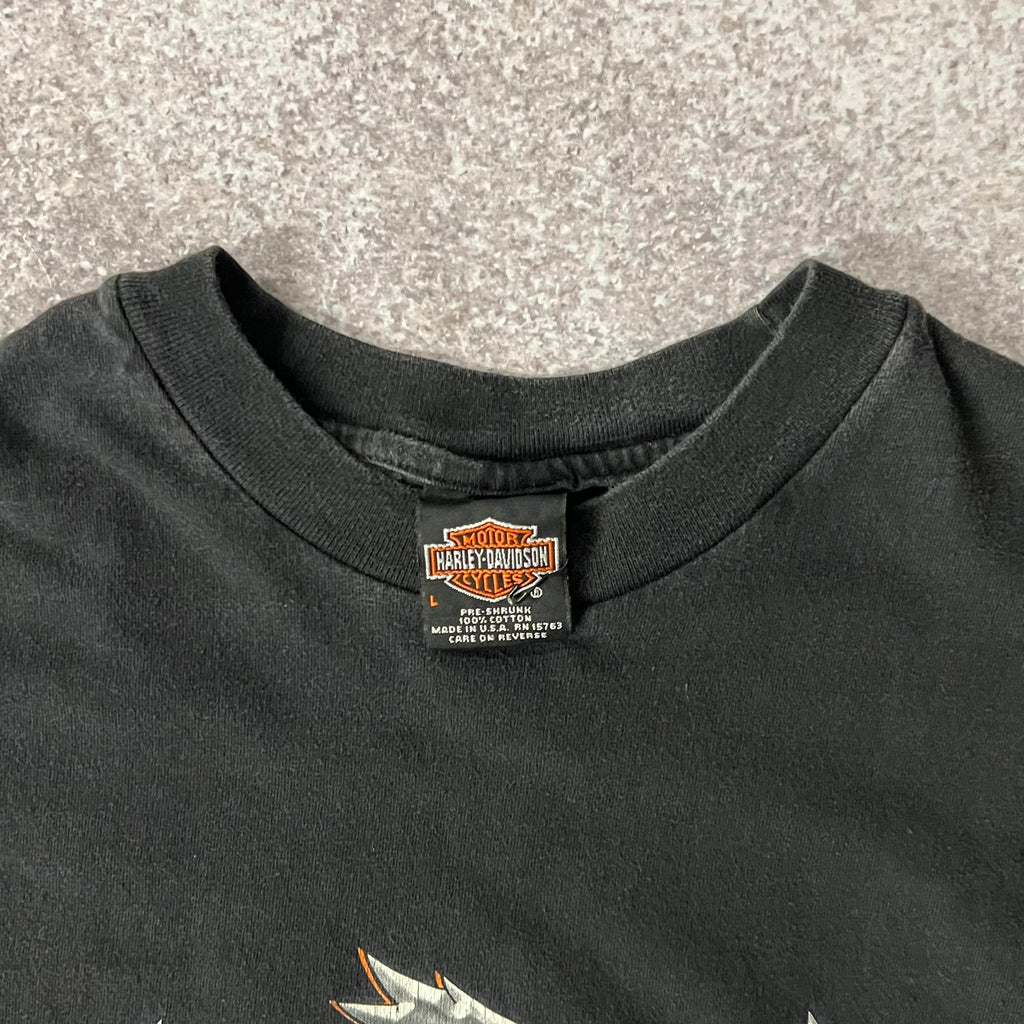 Y2K Harley Davidson Barre, Vermont Worn In Tee L