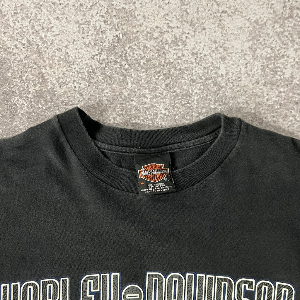 Y2K Harley Davidson Chattanooga Worn In Long Sleeve Tee M