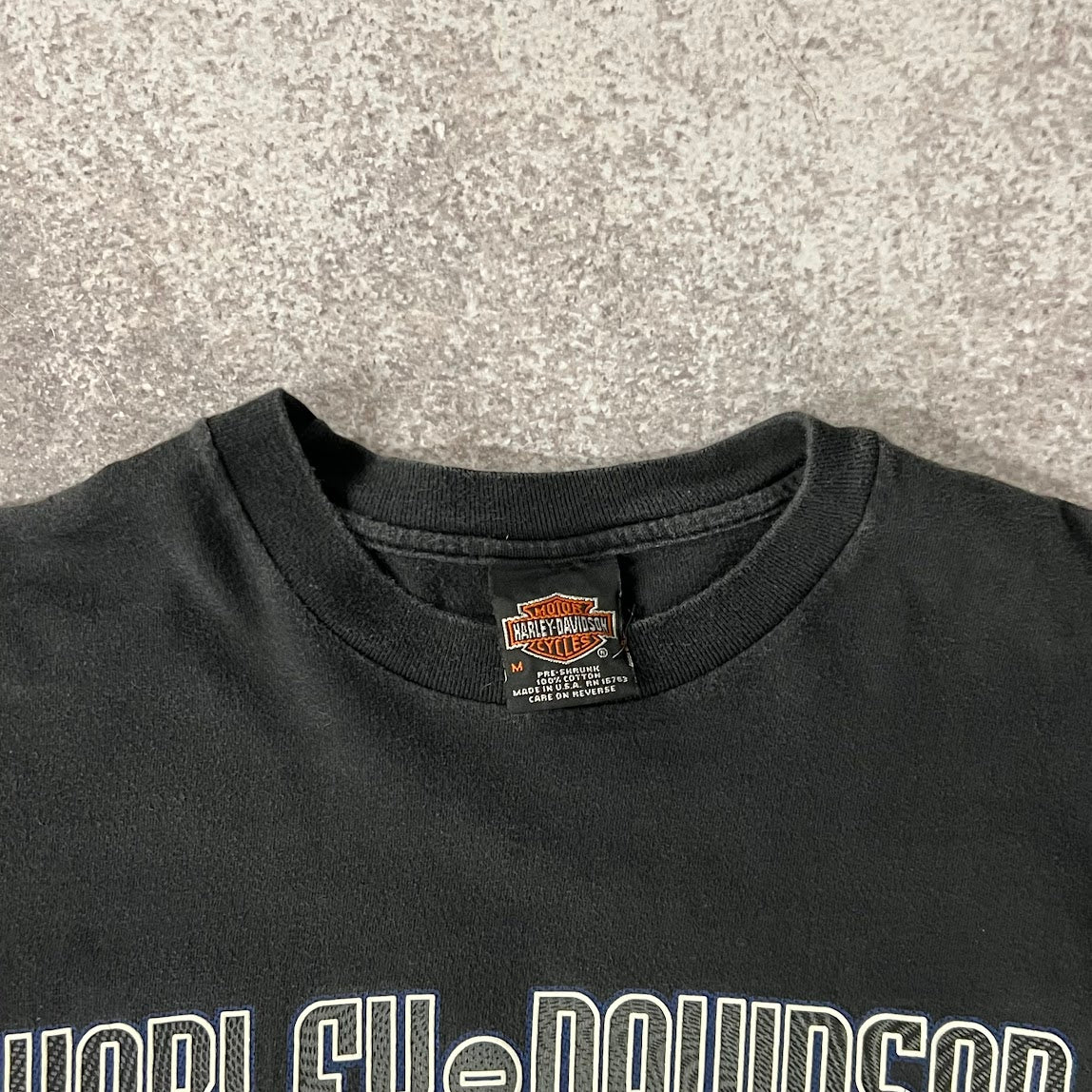 Y2K Harley Davidson Chattanooga Worn In Long Sleeve Tee M