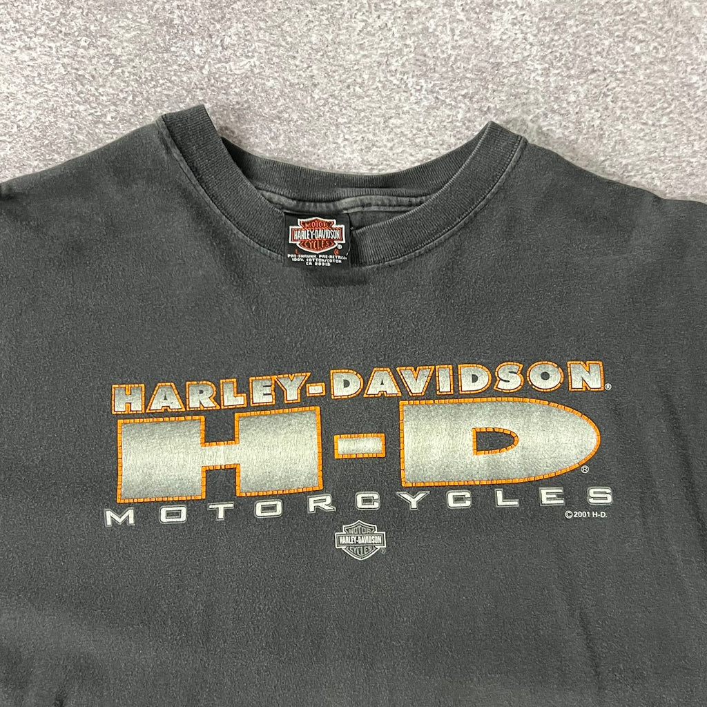 Y2K Harley Davidson Sherbrooke, Quebec Cananda Back Graphic Tee L