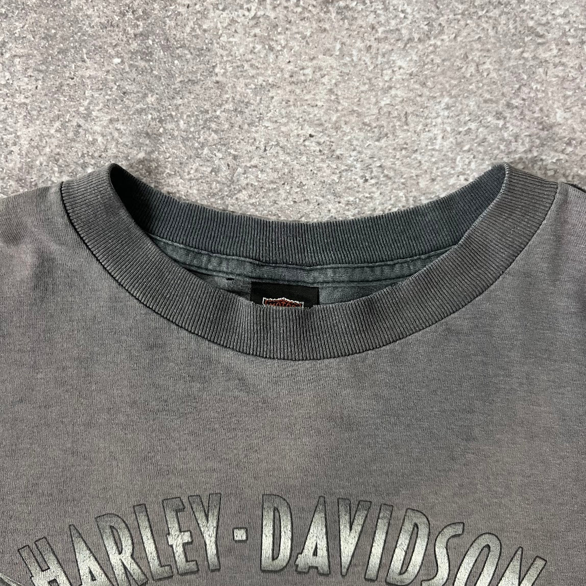 90s Harley Davidson Virgina Beach, VA Gray Worn In Tee L