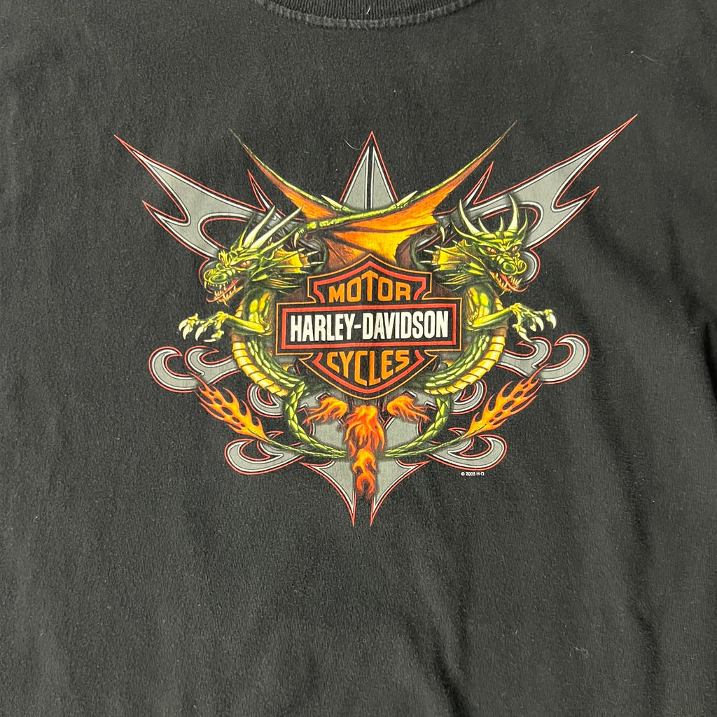 Y2K Harley Davidson Barre, Vermont Worn In Tee L
