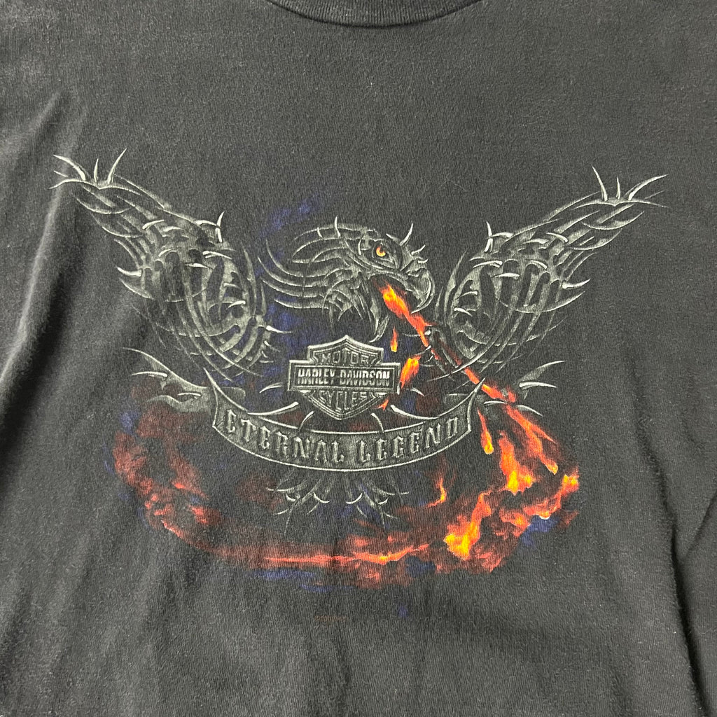2010s Harley Davidson Barre, Vermont Worn In Tee L