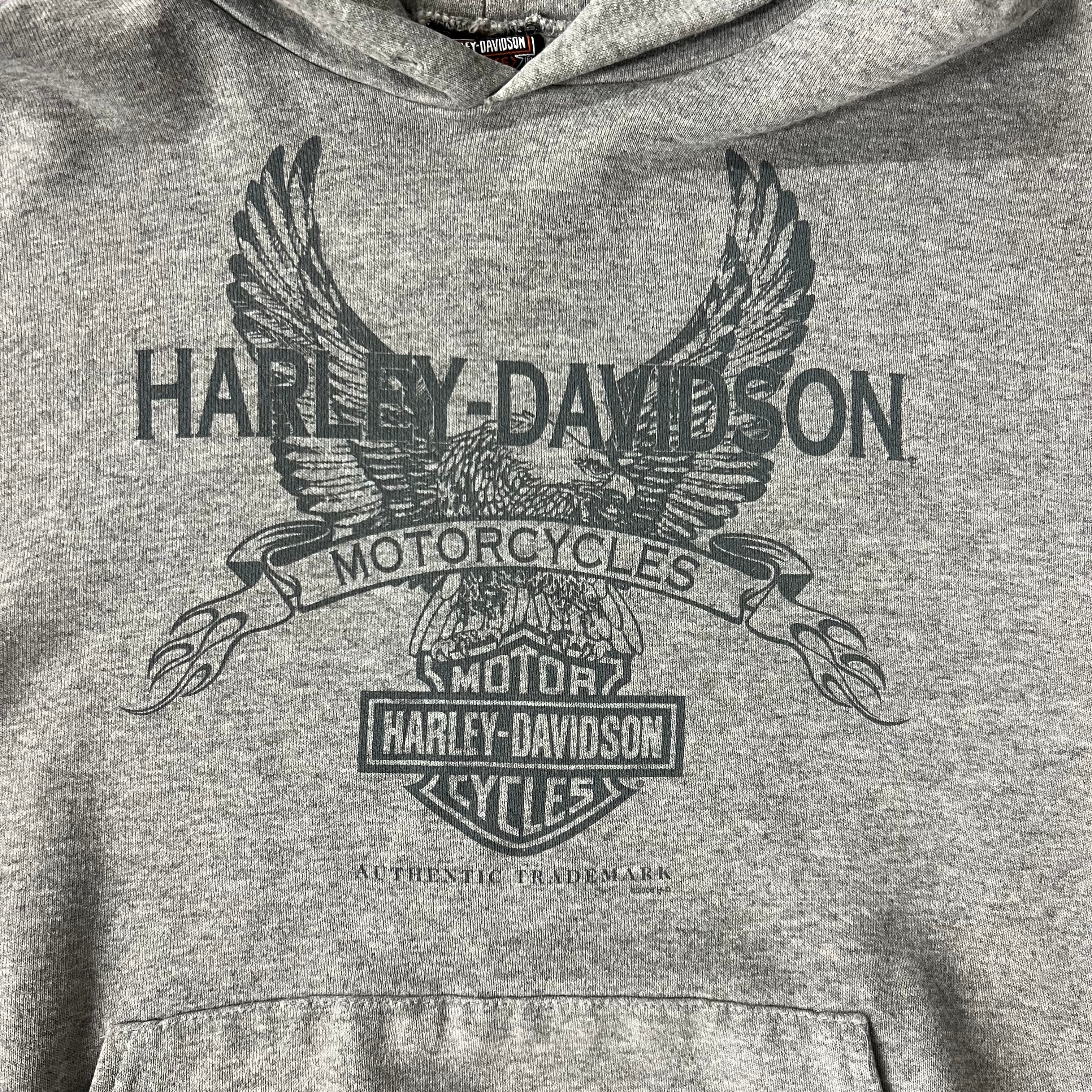 Y2K Harley Davidson Portland, Maine Gray Worn In Hoodie M
