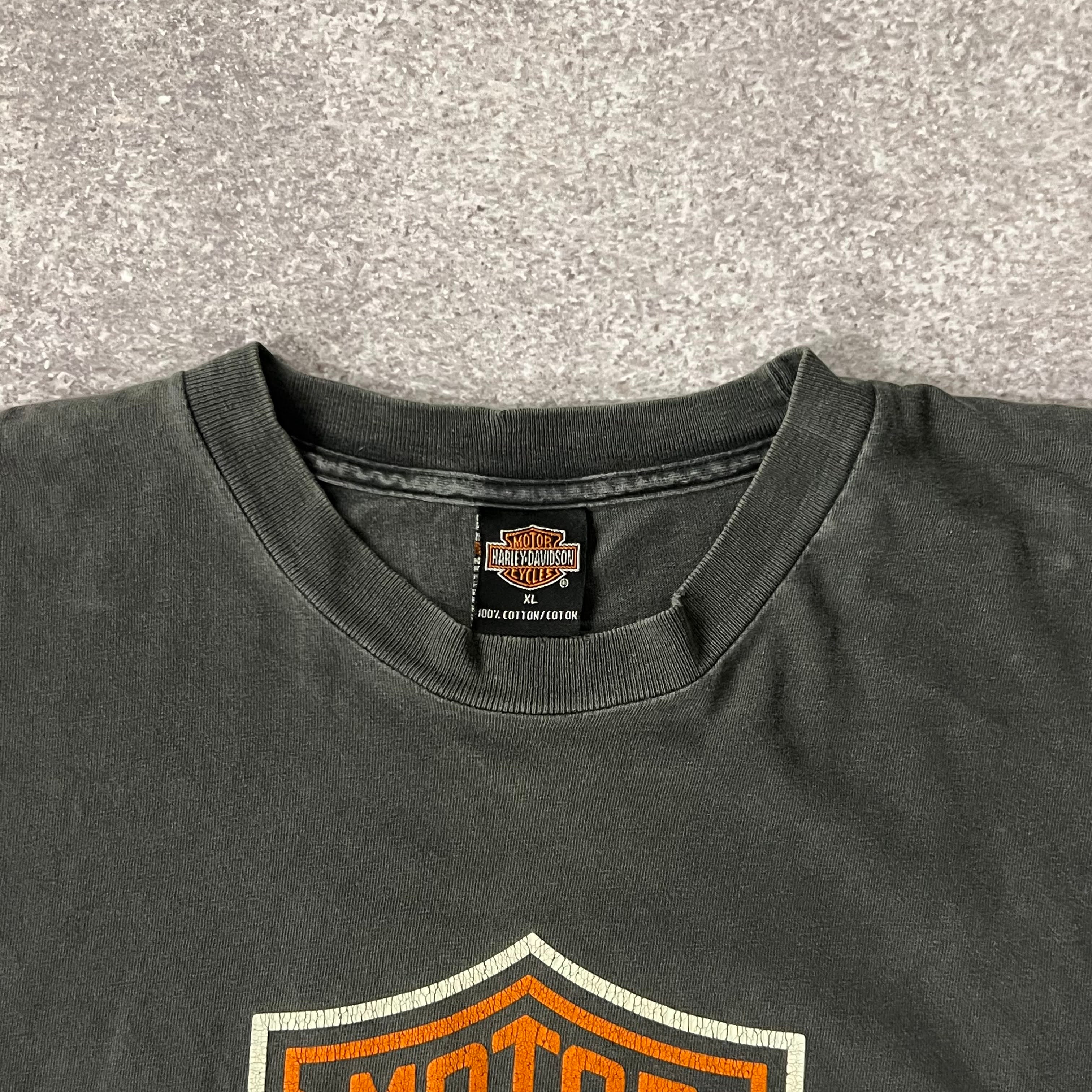 Y2K Harley Davidson Denver, Colorado Worn In Tee XL