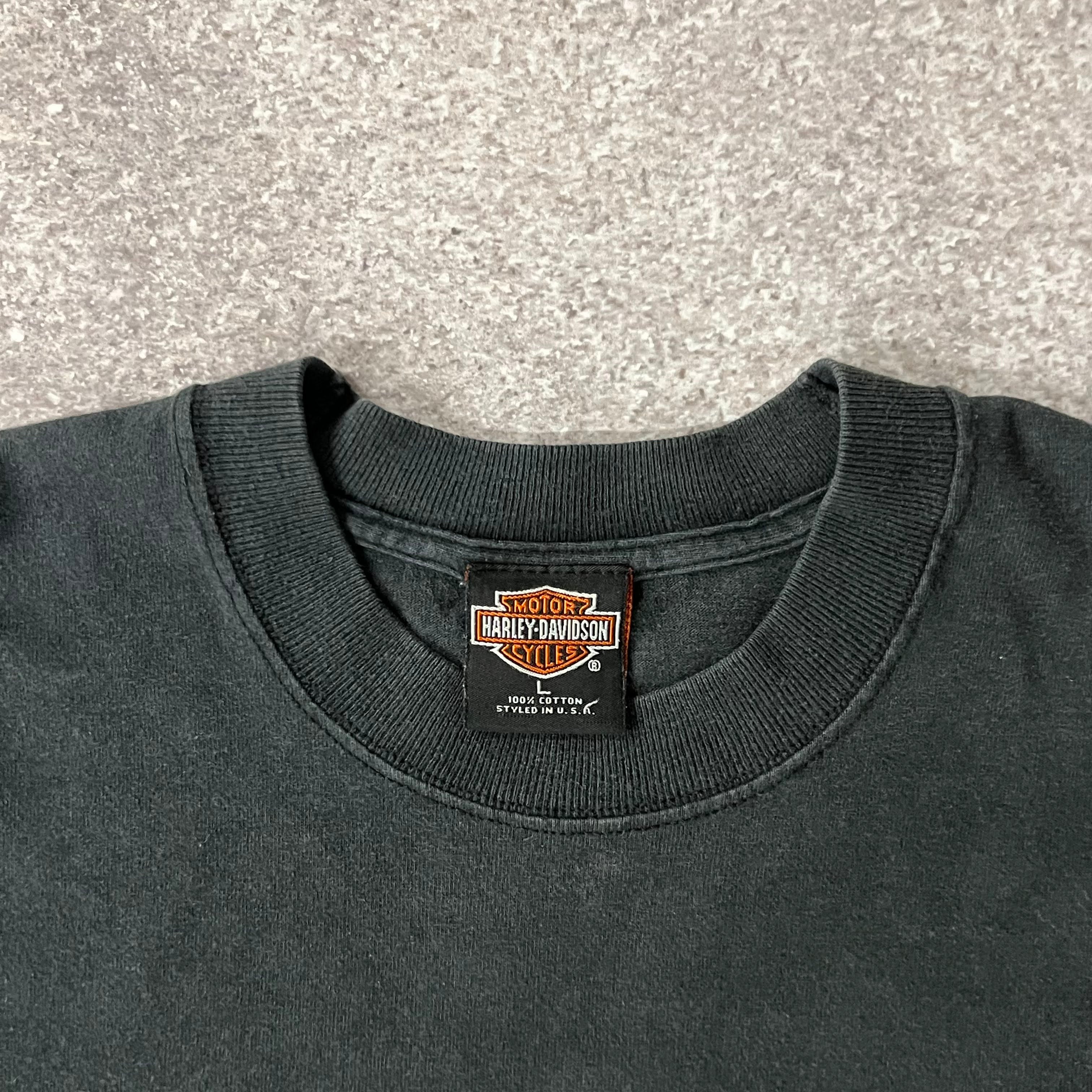 90s Harley Davidson Sun Faded Worn In Big Logo Tee L