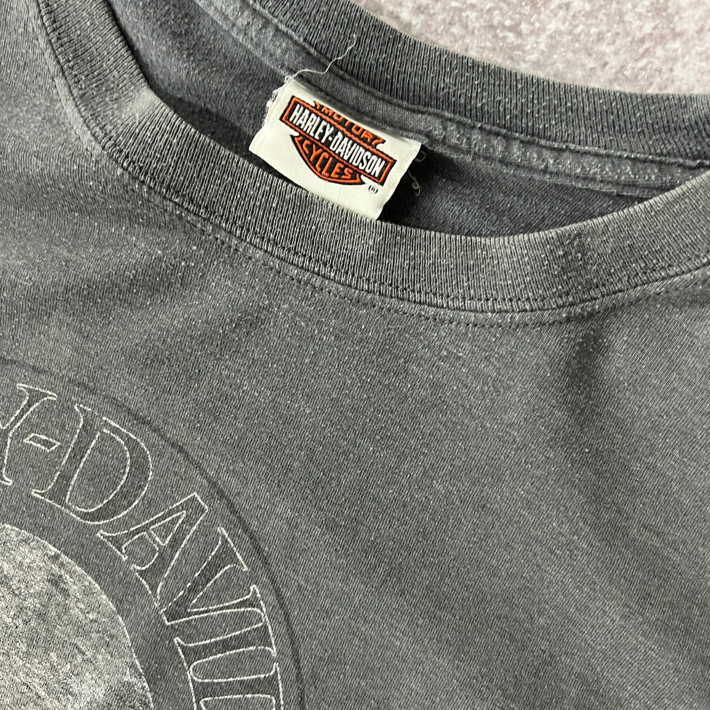 2010s Harley Davidson Roanoke Rapids, North Carolina Gray Distressed Long Sleeve Tee 3XL