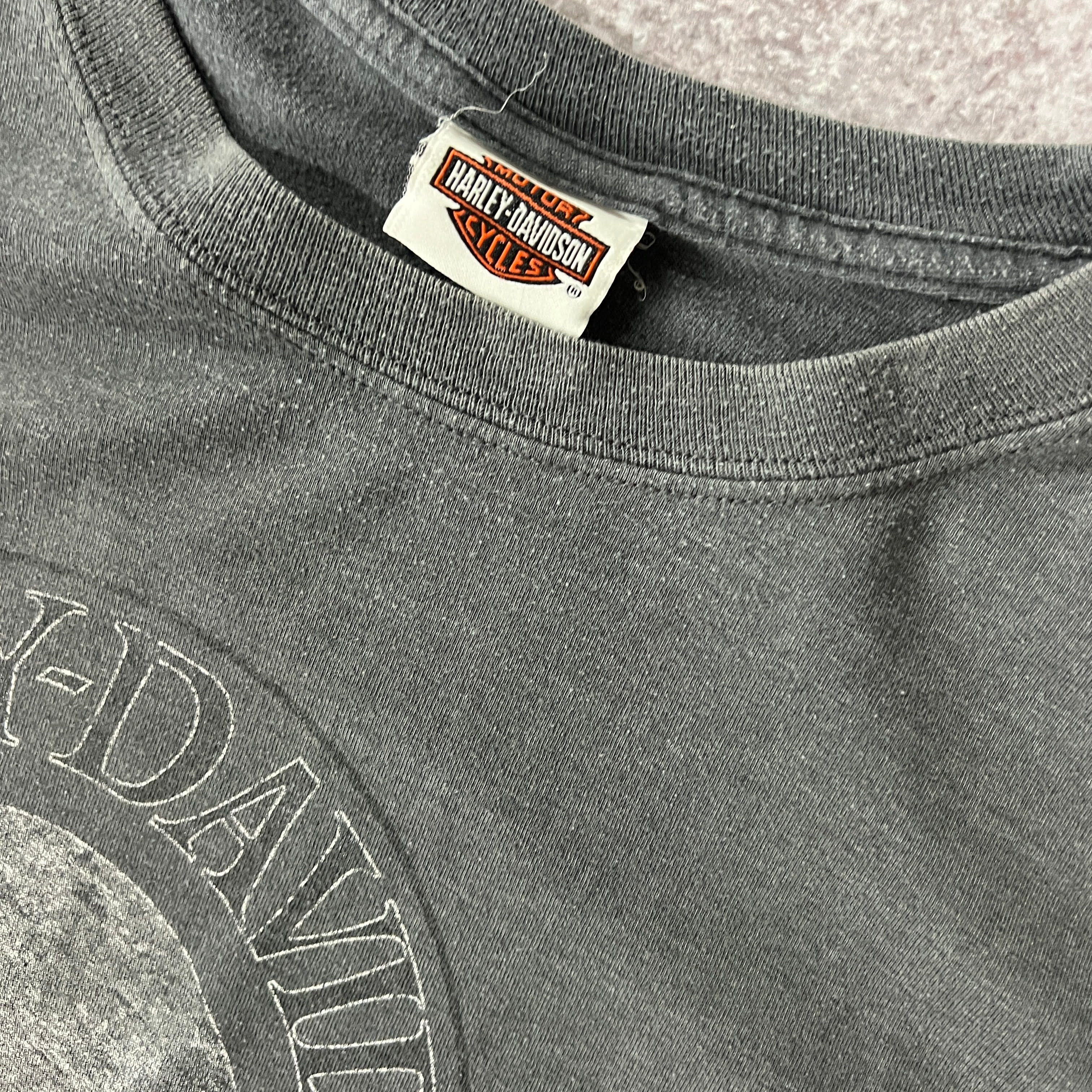 2010s Harley Davidson Roanoke Rapids, North Carolina Gray Distressed Long Sleeve Tee 3XL