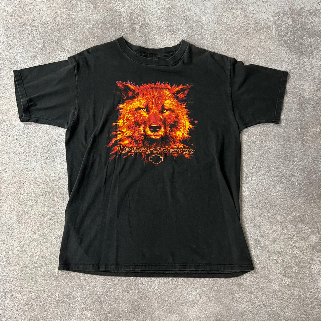 Y2K Harley Davidson Valparaiso, Indiana Worn In Tee XL