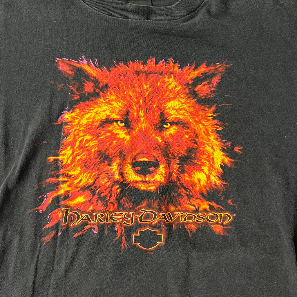 Y2K Harley Davidson Valparaiso, Indiana Worn In Tee XL