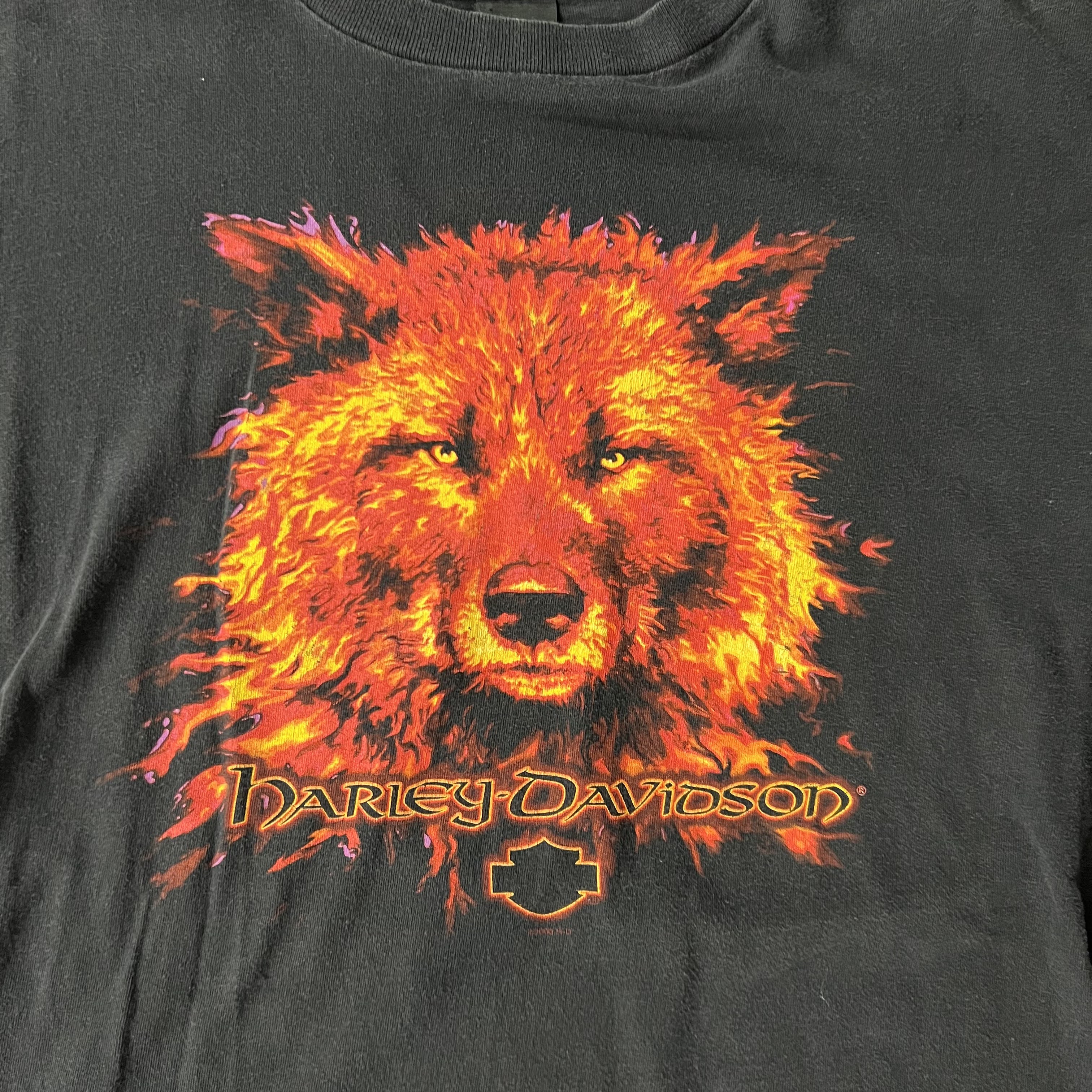 Y2K Harley Davidson Valparaiso, Indiana Worn In Tee XL