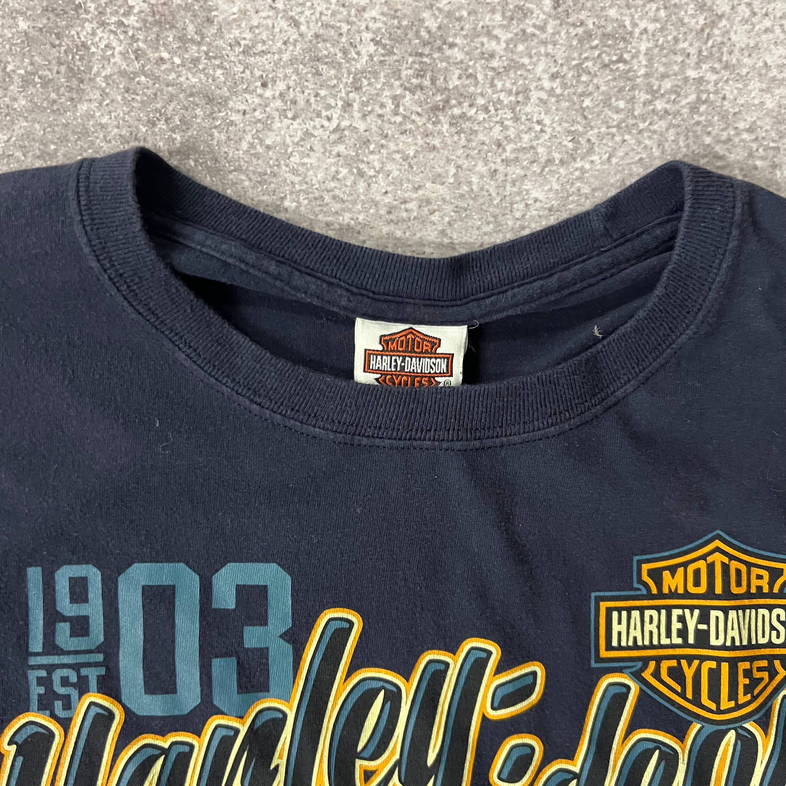 2010s Harley Davidson South Dakota Blue Worn In Long Sleeve Tee XL