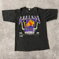 90s Phoenix Suns Ritz Single Stitch Tee L