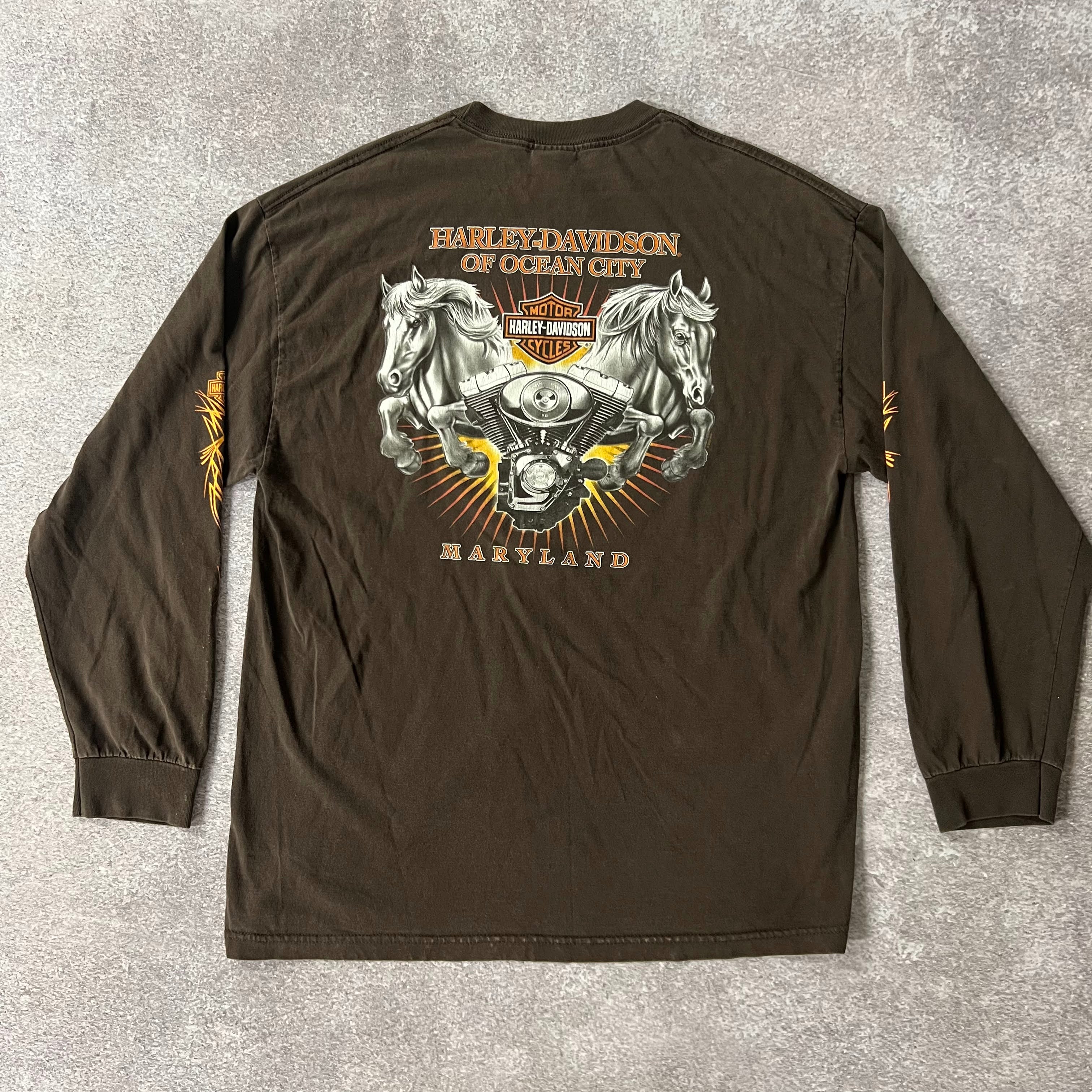 Y2K Harley Davidson Maryland Brown Worn In Long Sleeve Tee XL
