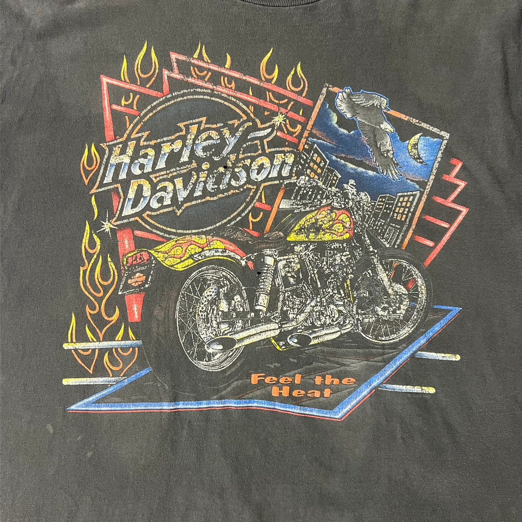 Y2K Harley Davidson Distressed Sun Faded Tee L