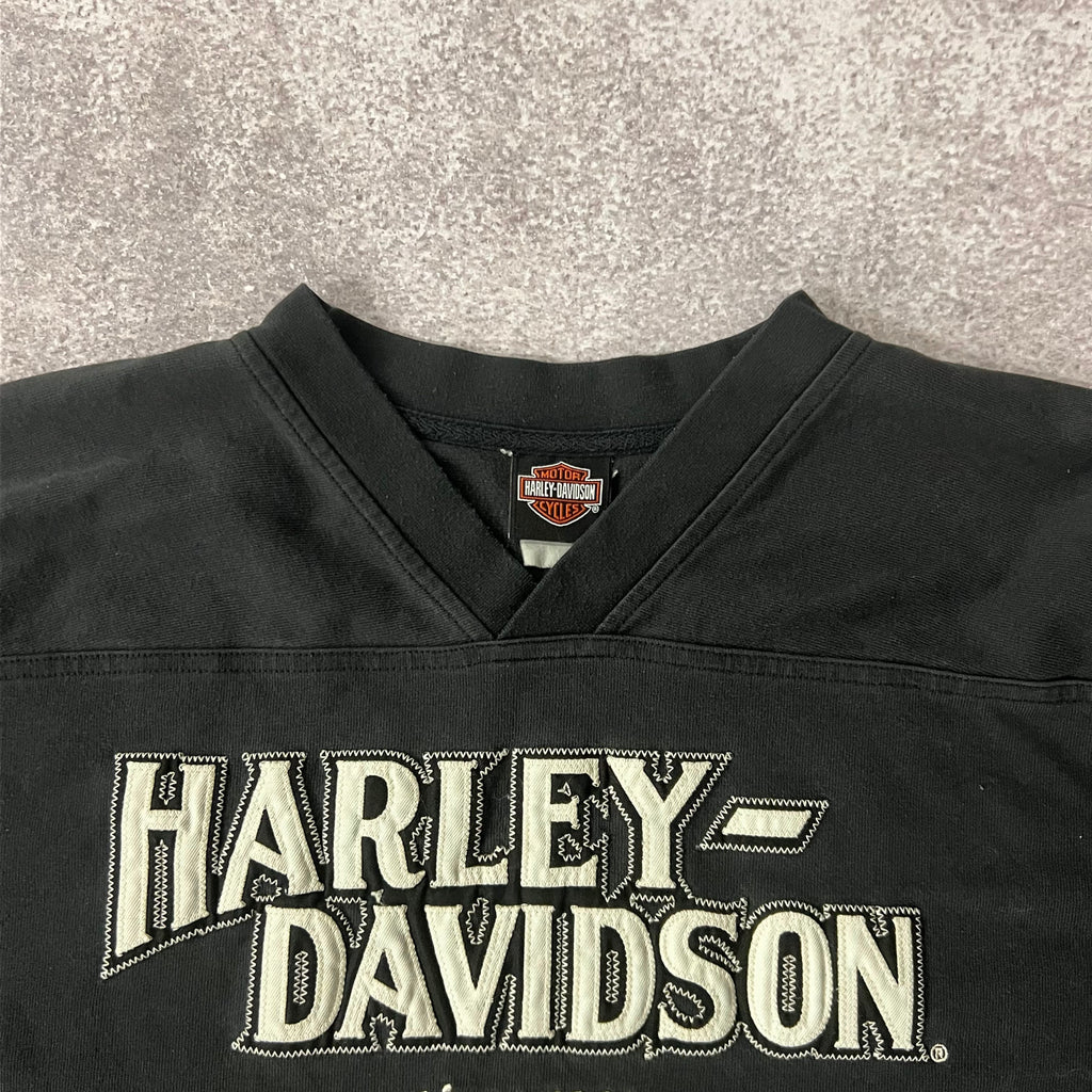Y2K Harley Davidson Delaware Embroidered Long Sleeve Tee XL