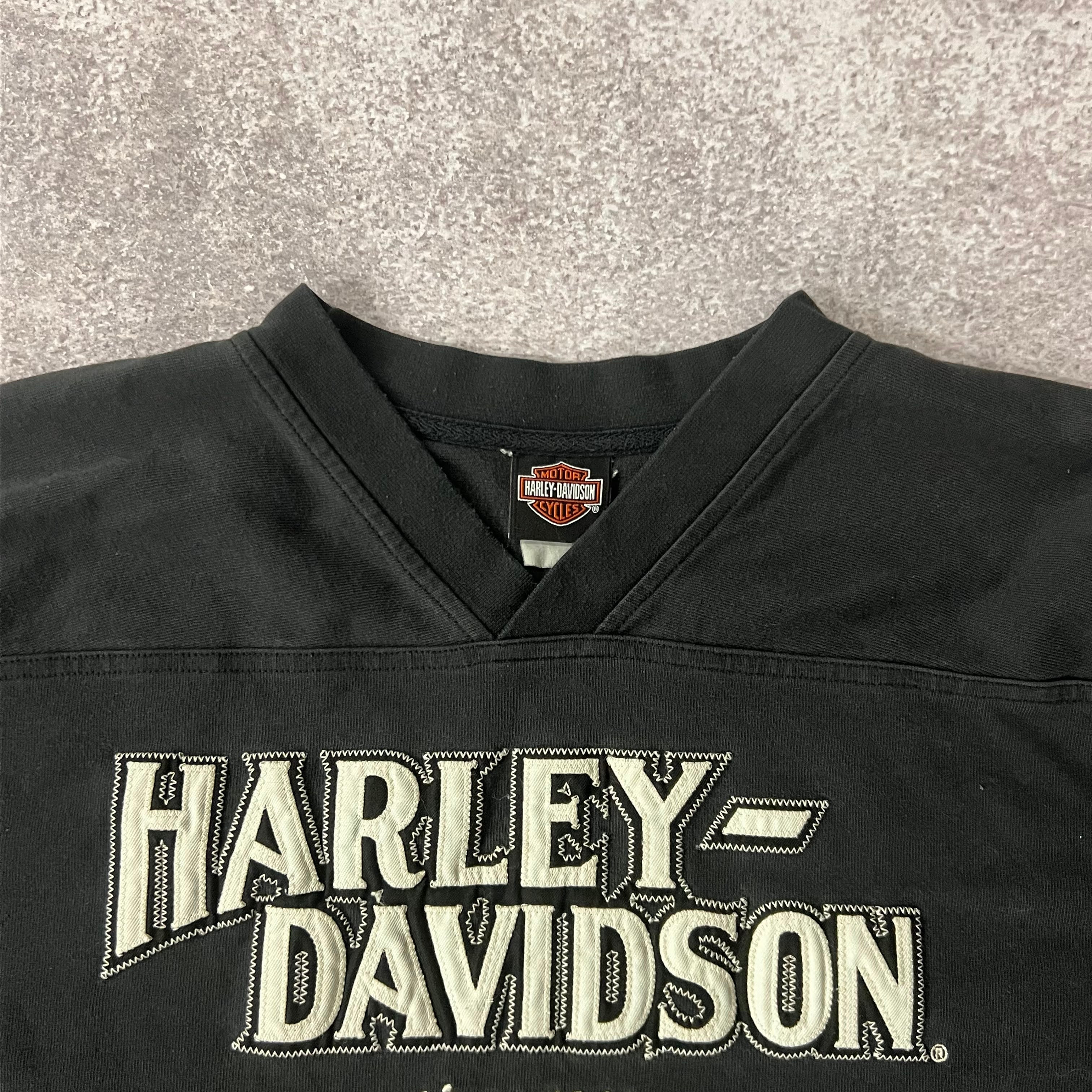 Y2K Harley Davidson Delaware Embroidered Long Sleeve Tee XL