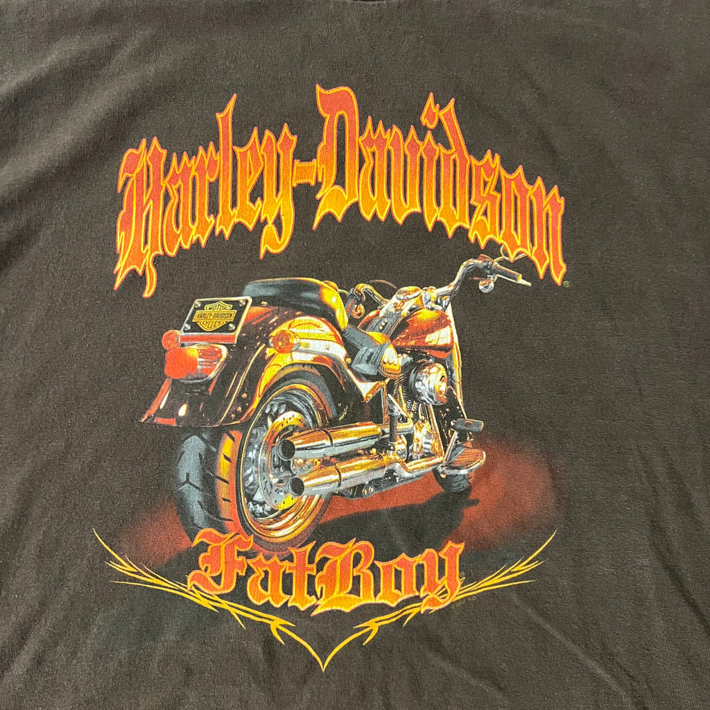 Y2K Harley Davidson Maryland Brown Worn In Long Sleeve Tee XL