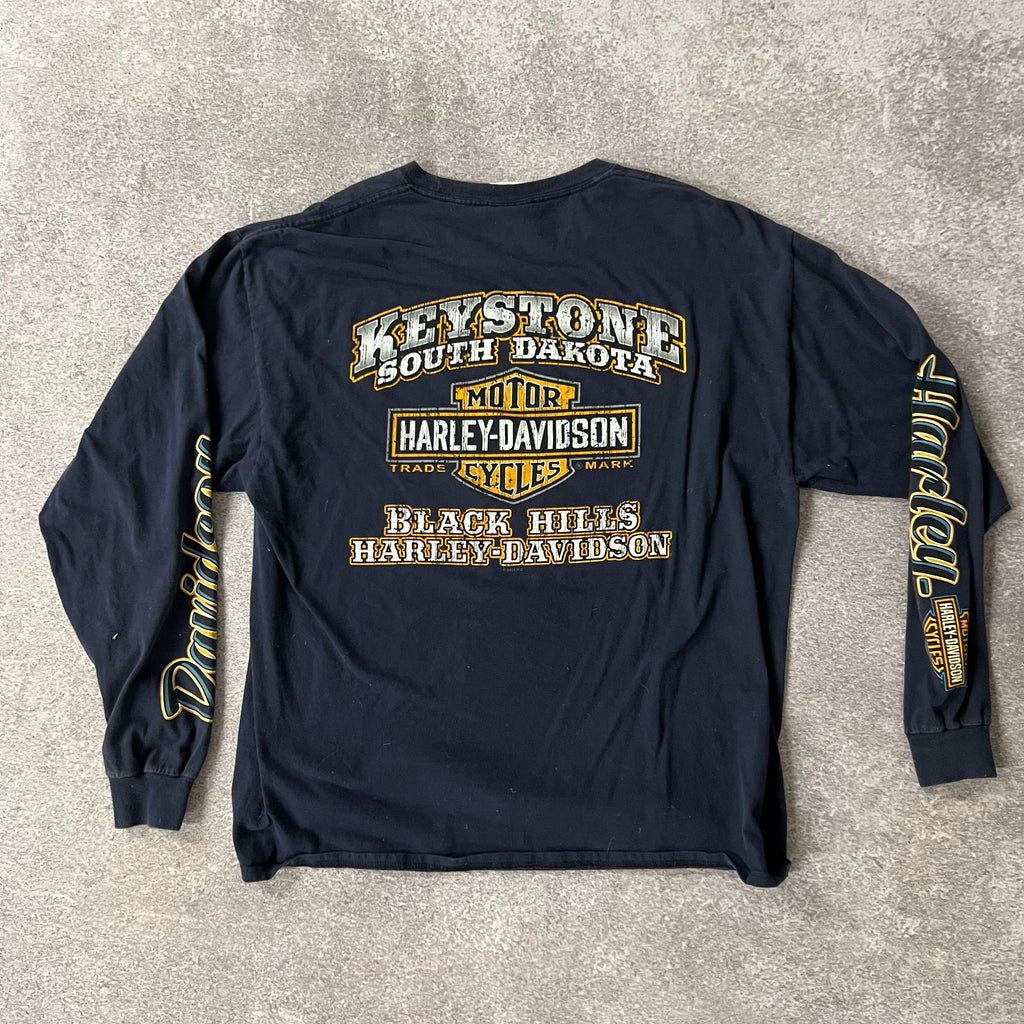 2010s Harley Davidson South Dakota Blue Worn In Long Sleeve Tee XL