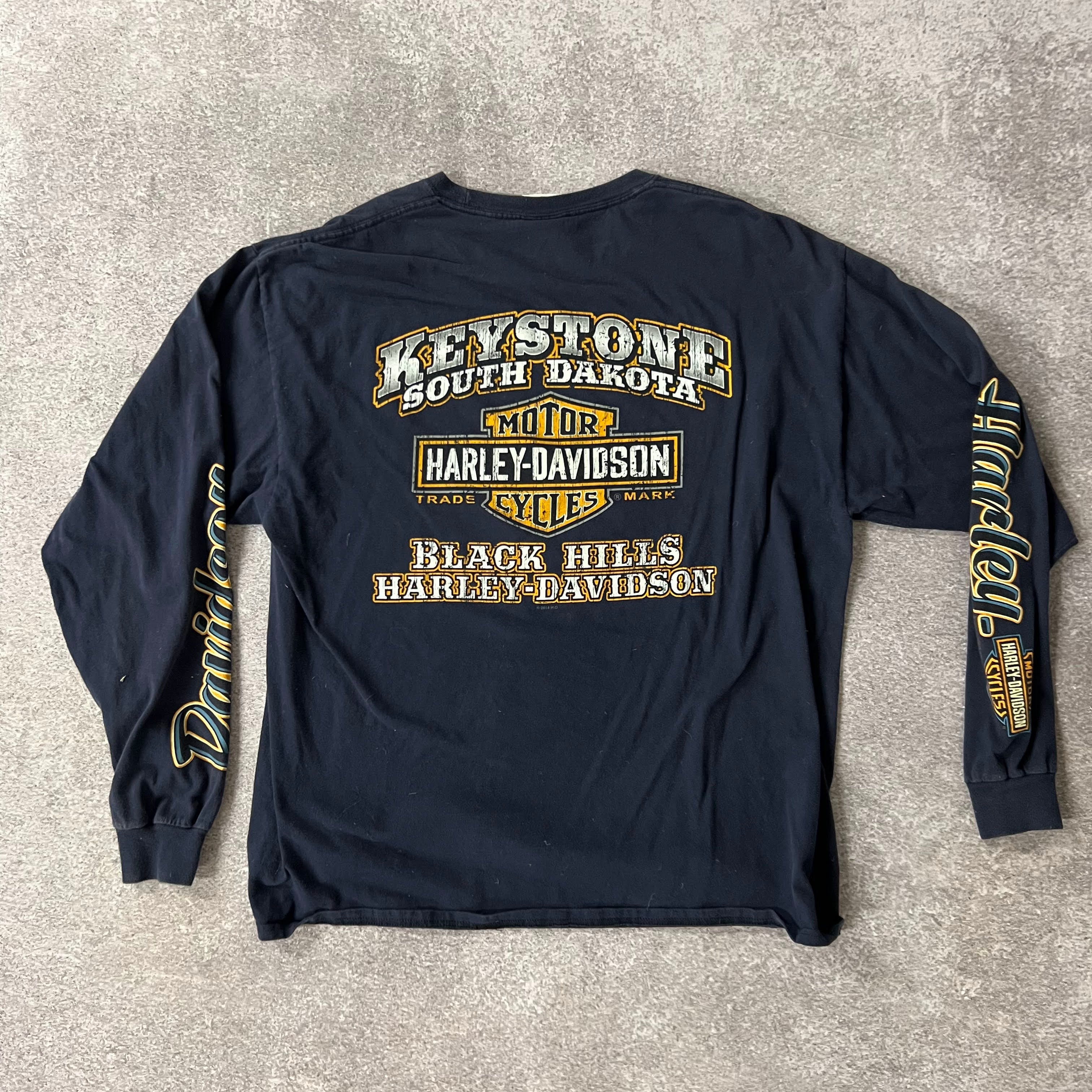 2010s Harley Davidson South Dakota Blue Worn In Long Sleeve Tee XL