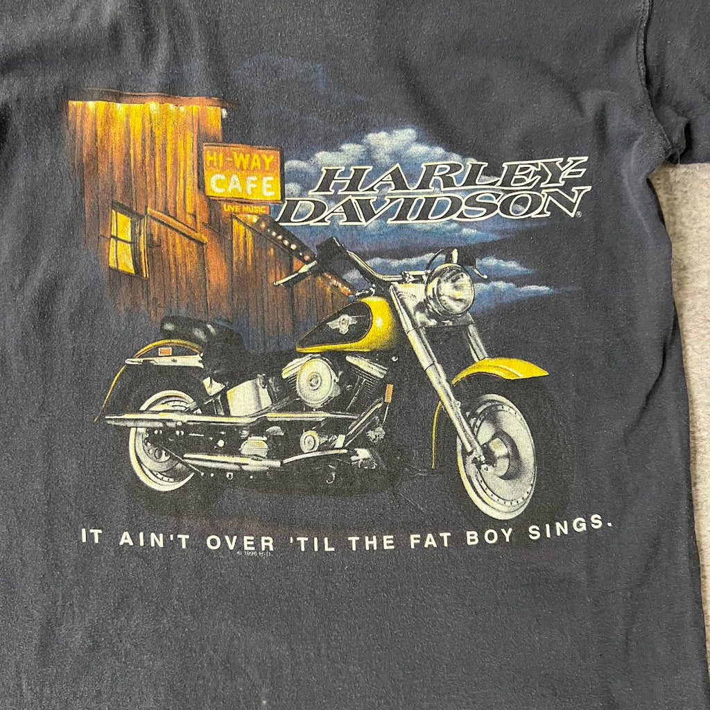 90s Harley Davidson Ljubljana, Slovenija Blue Worn In Tee L