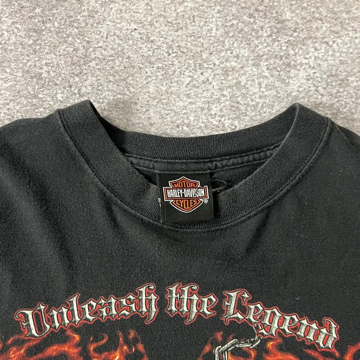 Y2K Harley Davidson Leesburg, FL Worn In Tee XL