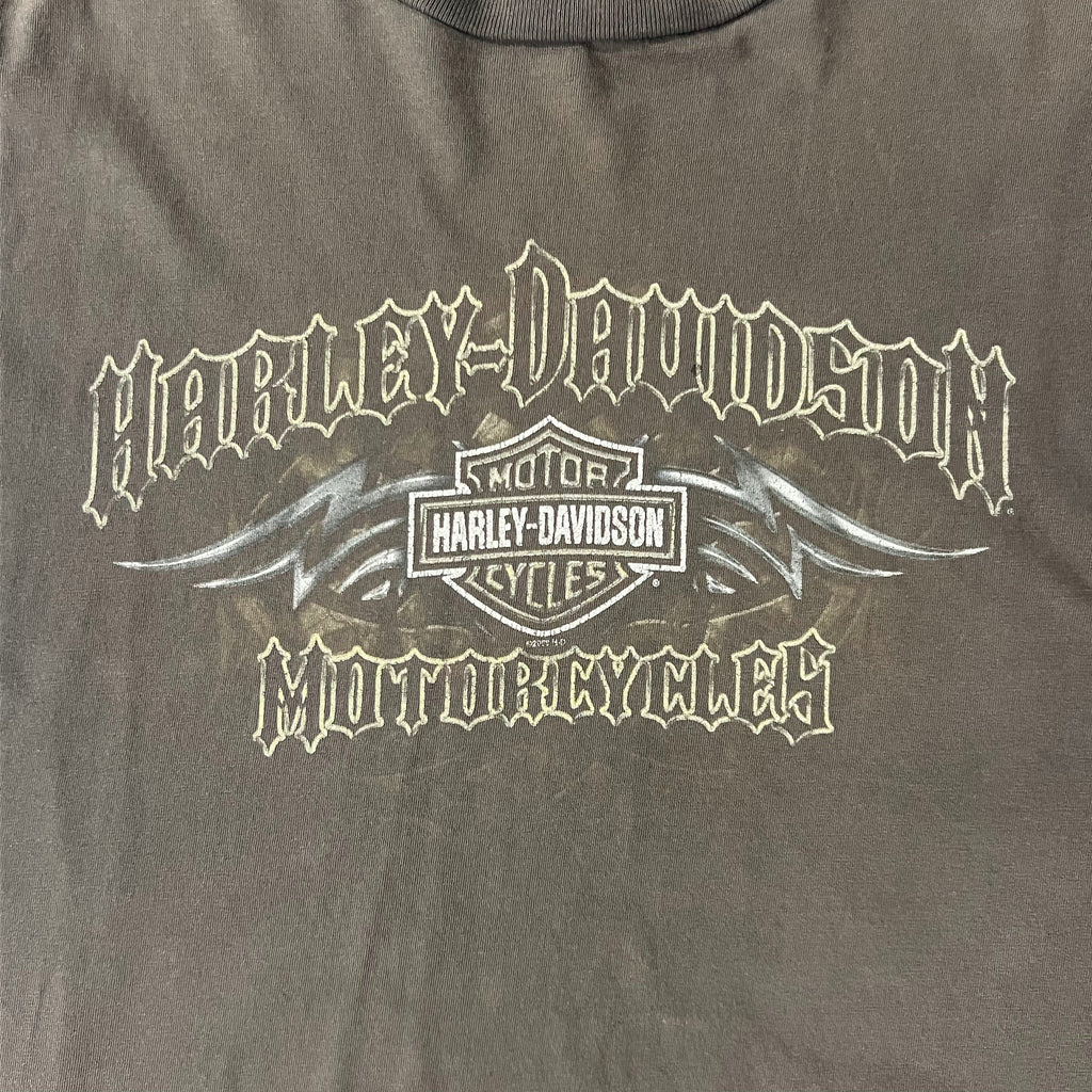 Y2K Harley Davidson Lincoln, Nebraska Brown Sun Faded Tee XL