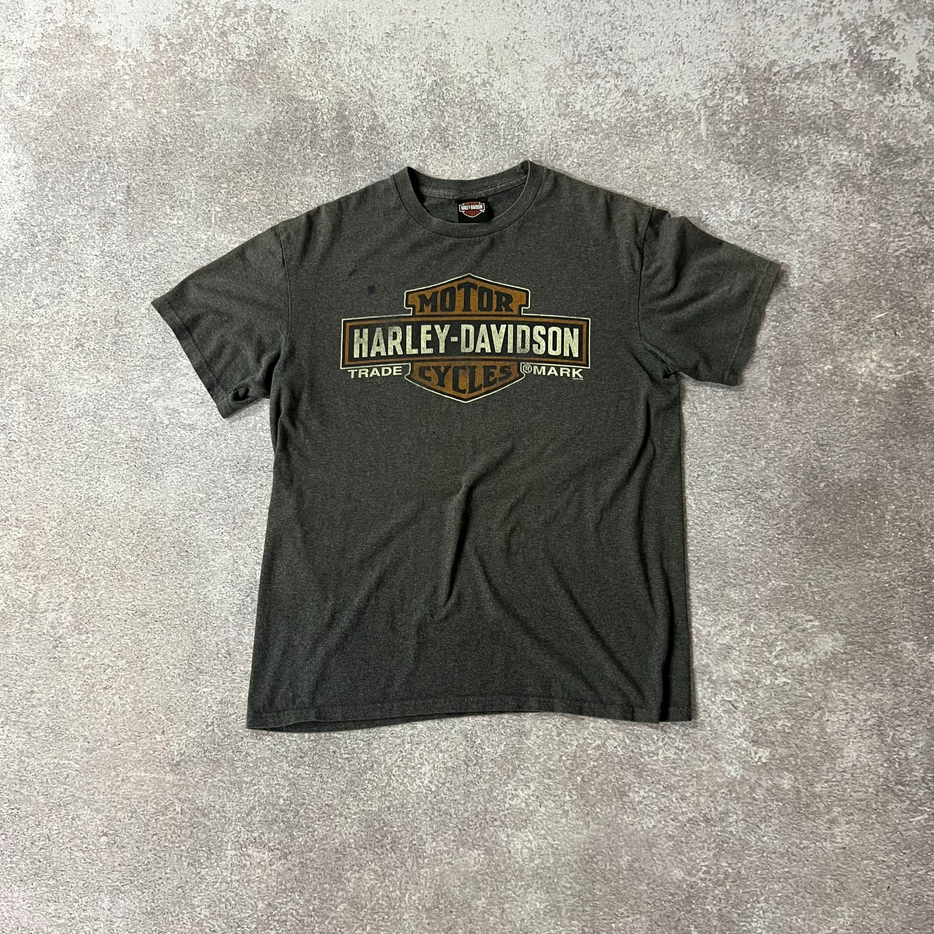 2010s Harley Davidson Concord, North Carolina Gray Worn In Tee L