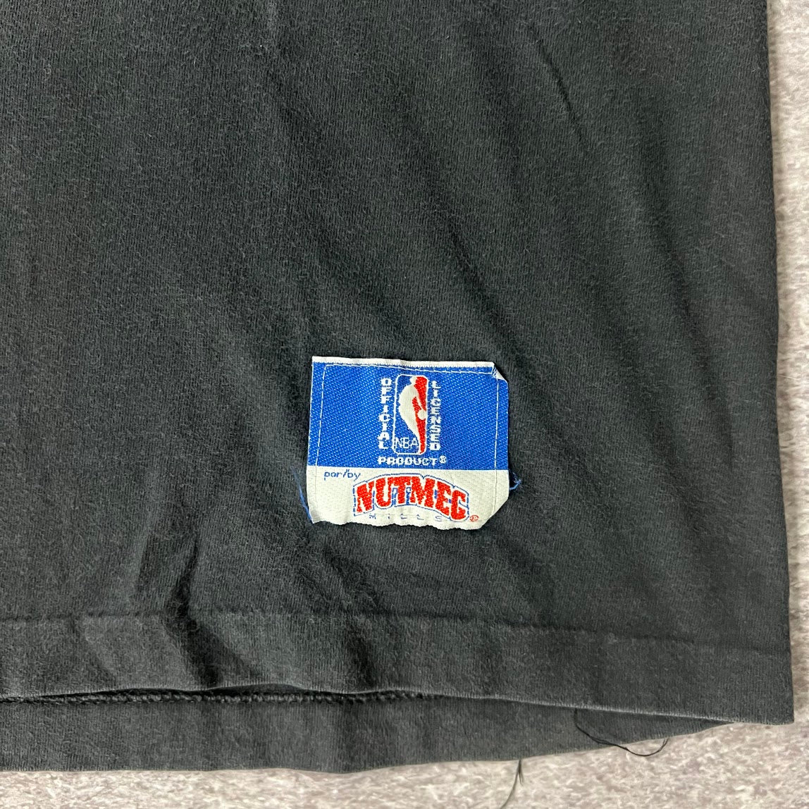 90s Phoenix Suns Nutmeg Mills Sun Faded Single Stitch Tee L