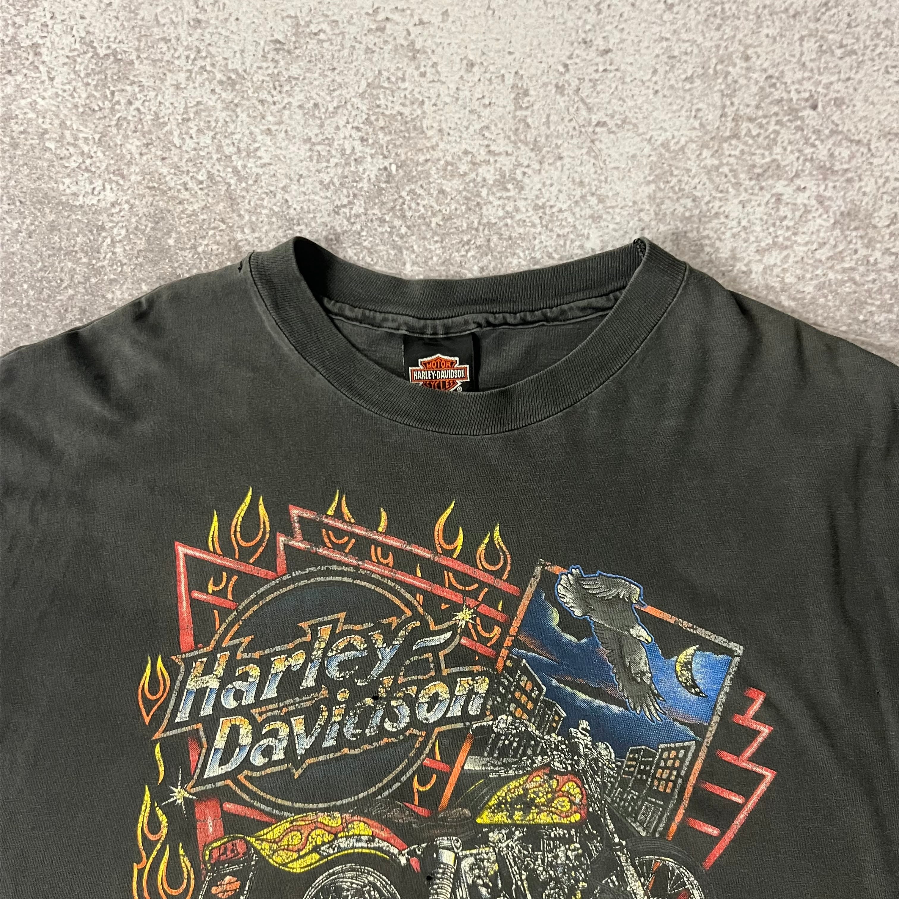 Y2K Harley Davidson Distressed Sun Faded Tee L