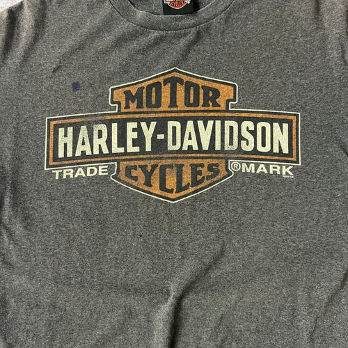 2010s Harley Davidson Concord, North Carolina Gray Worn In Tee L