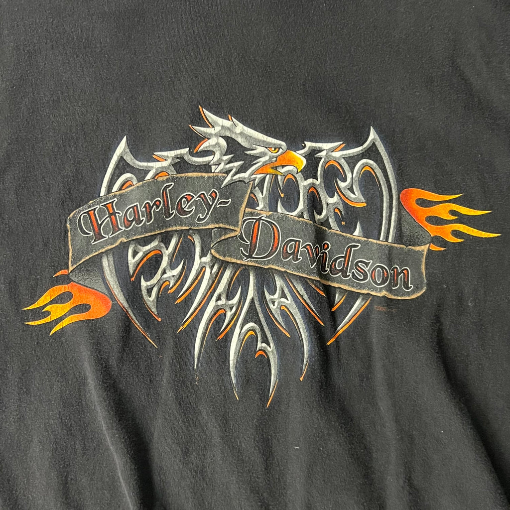 Y2K Harley Davidson Barre, Vermont Worn In Tee L