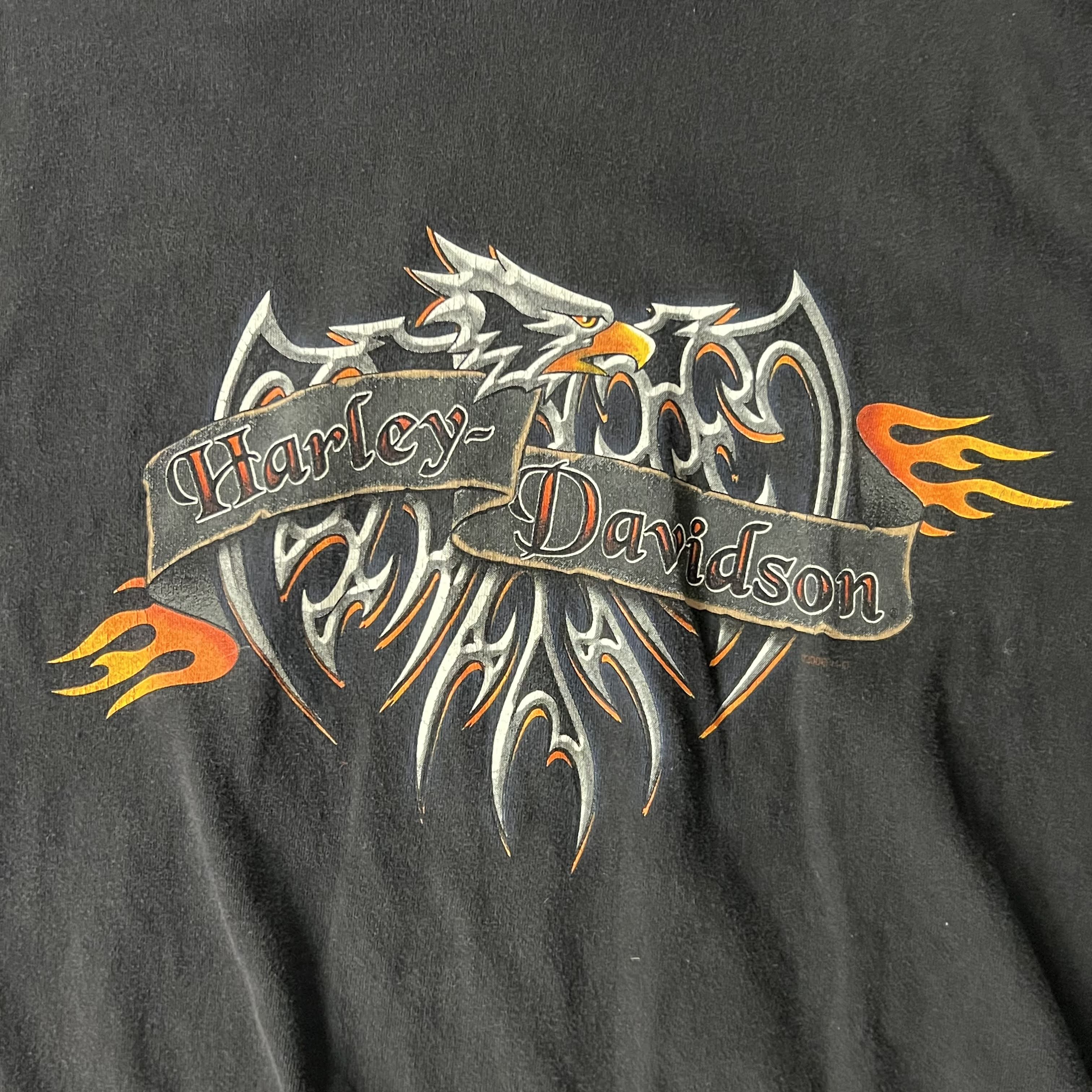 Y2K Harley Davidson Barre, Vermont Worn In Tee L