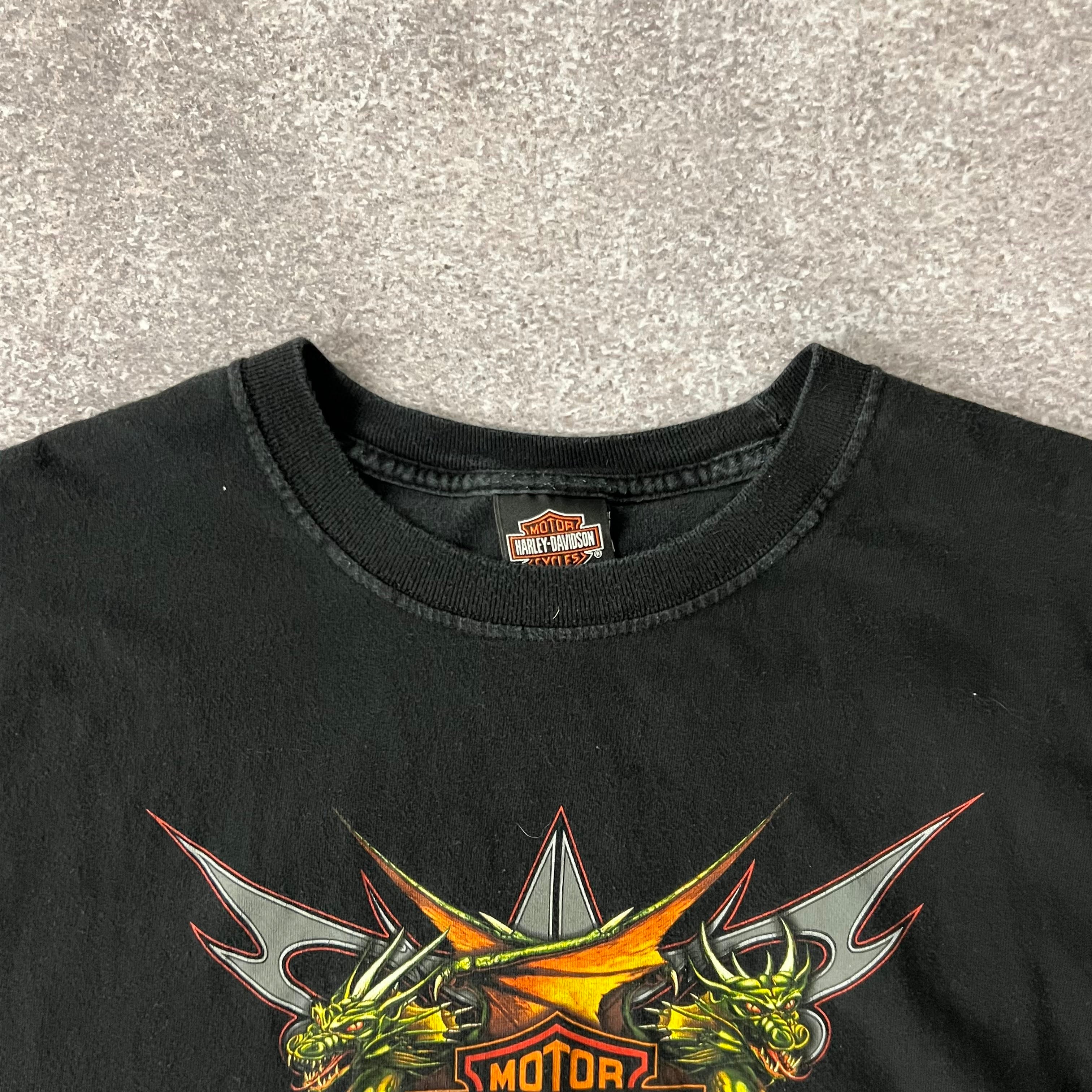 Y2K Harley Davidson Barre, Vermont Worn In Tee L