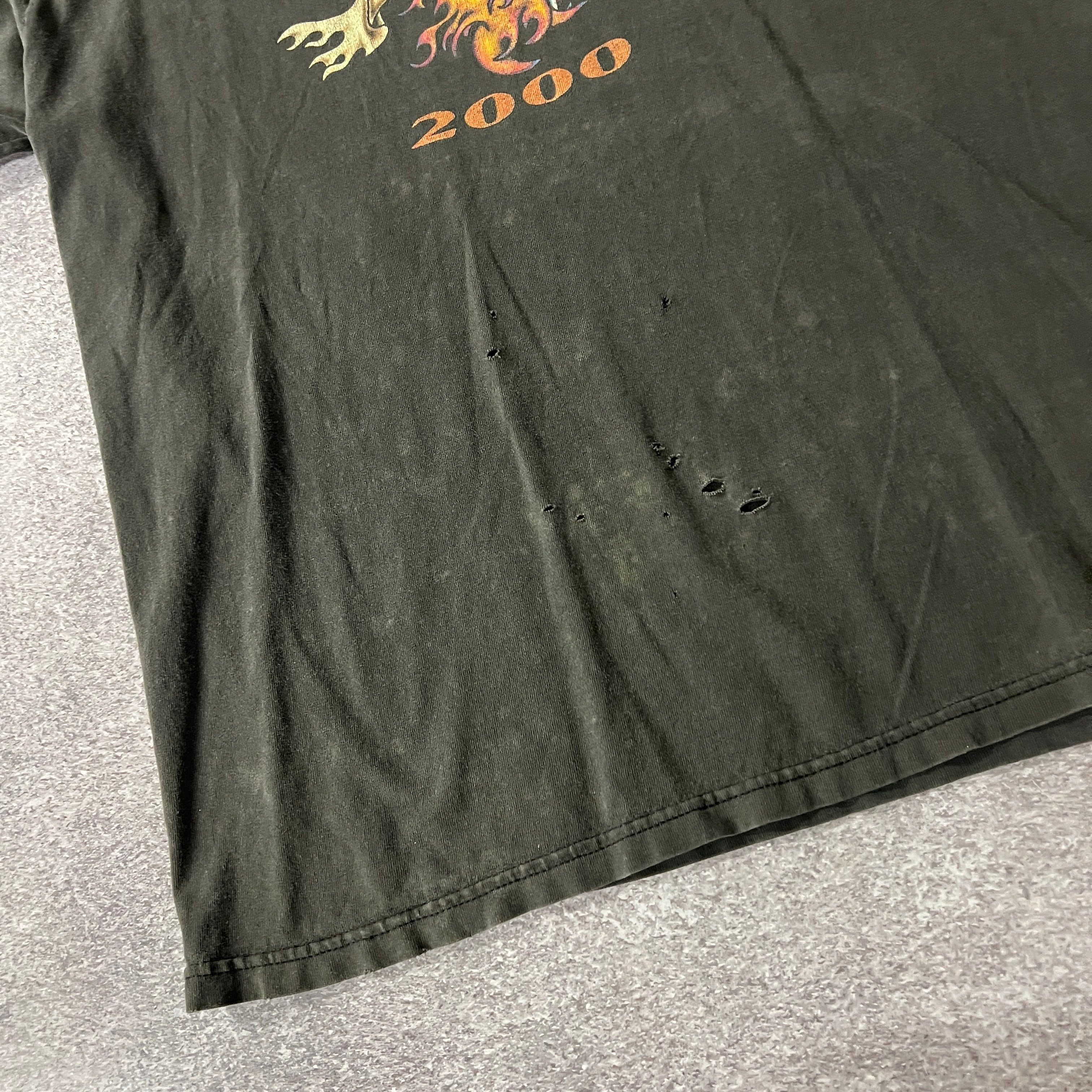 Y2K Hanes Laconia, New Hampshire Gray Distressed Tee L