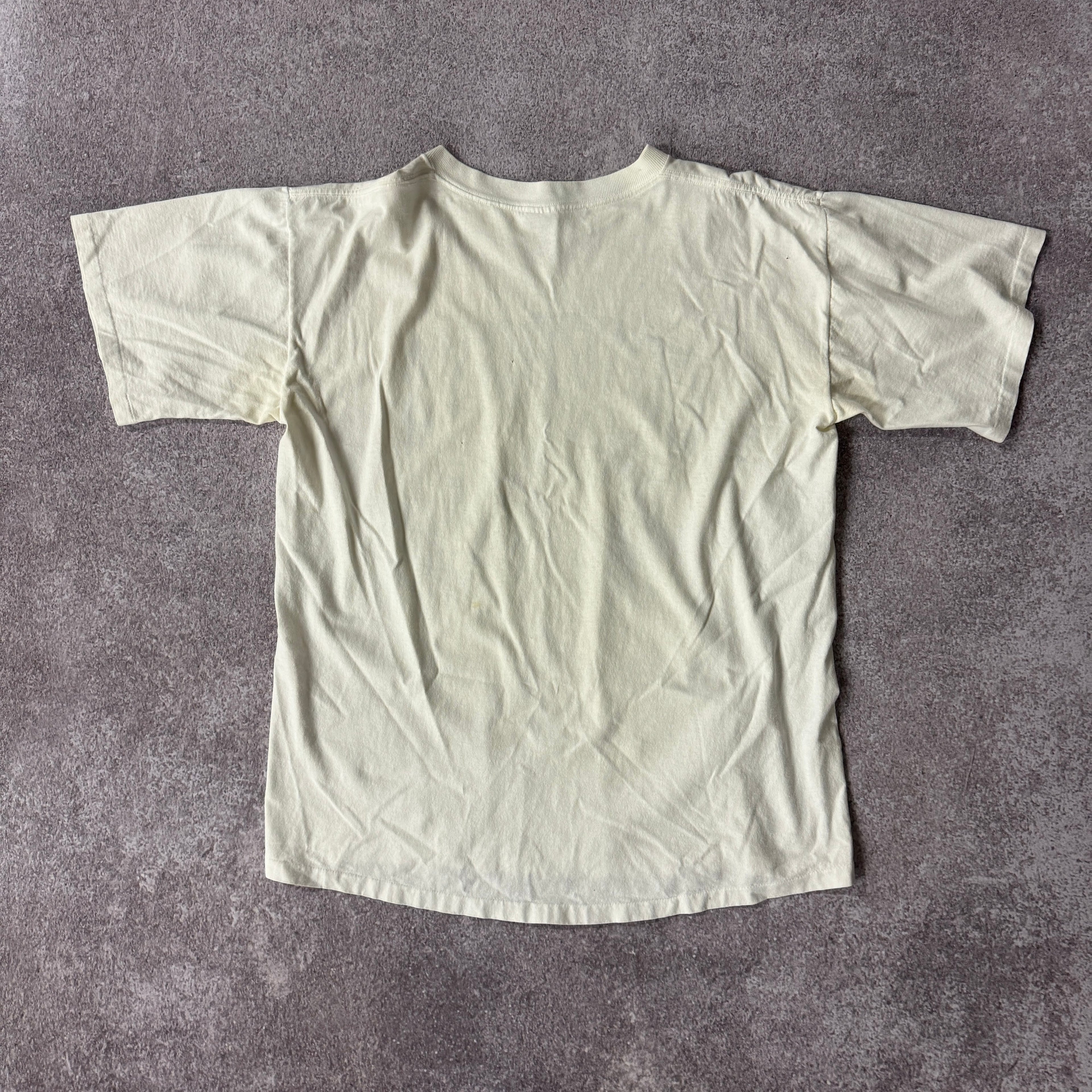 90s Dallas Cowboys Salem Sportswear Single Stitch Tee L