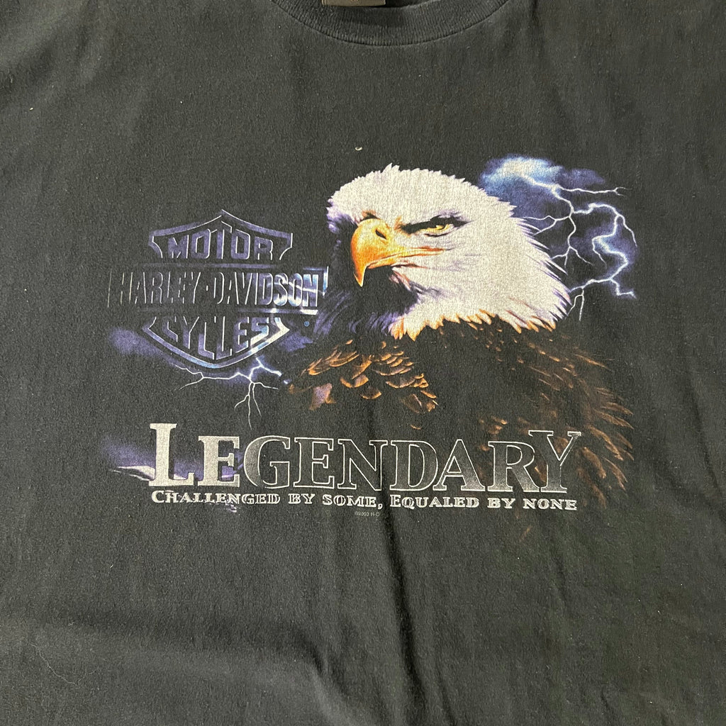 Y2K Harley Davidson Portland, Maine Worn In Tee XXL