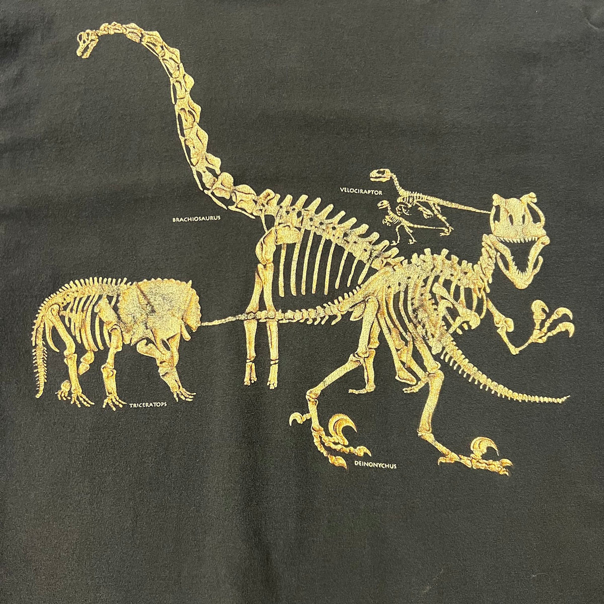 90s Wild Cotton Back Graphic Cracked Print Sun Faded Single Stitch Tee XL