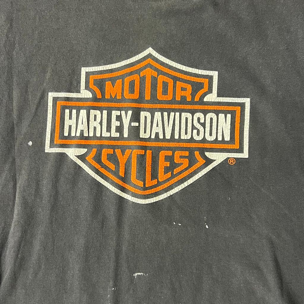 Y2K Harley Davidson Denver, Colorado Worn In Tee XL