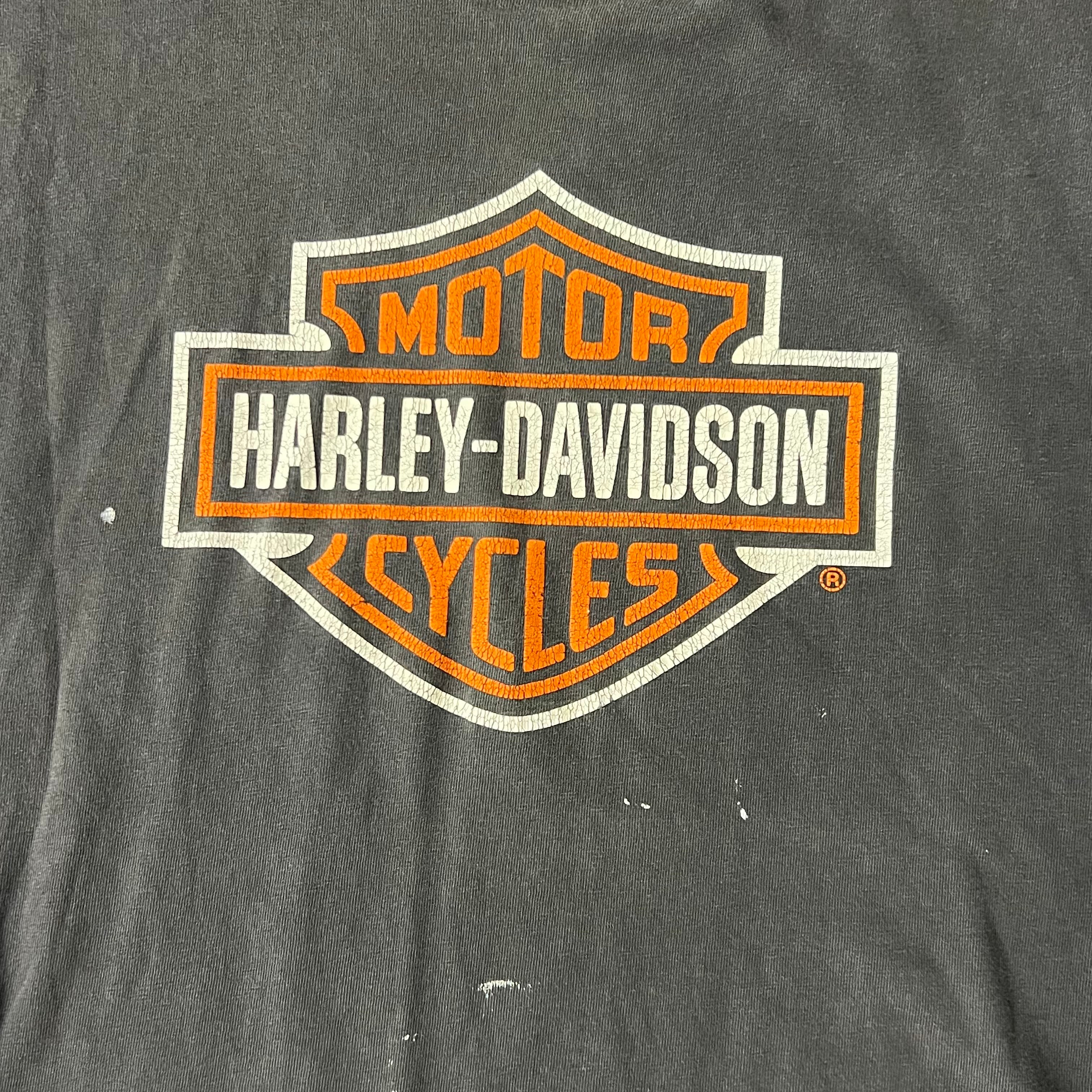 Y2K Harley Davidson Denver, Colorado Worn In Tee XL
