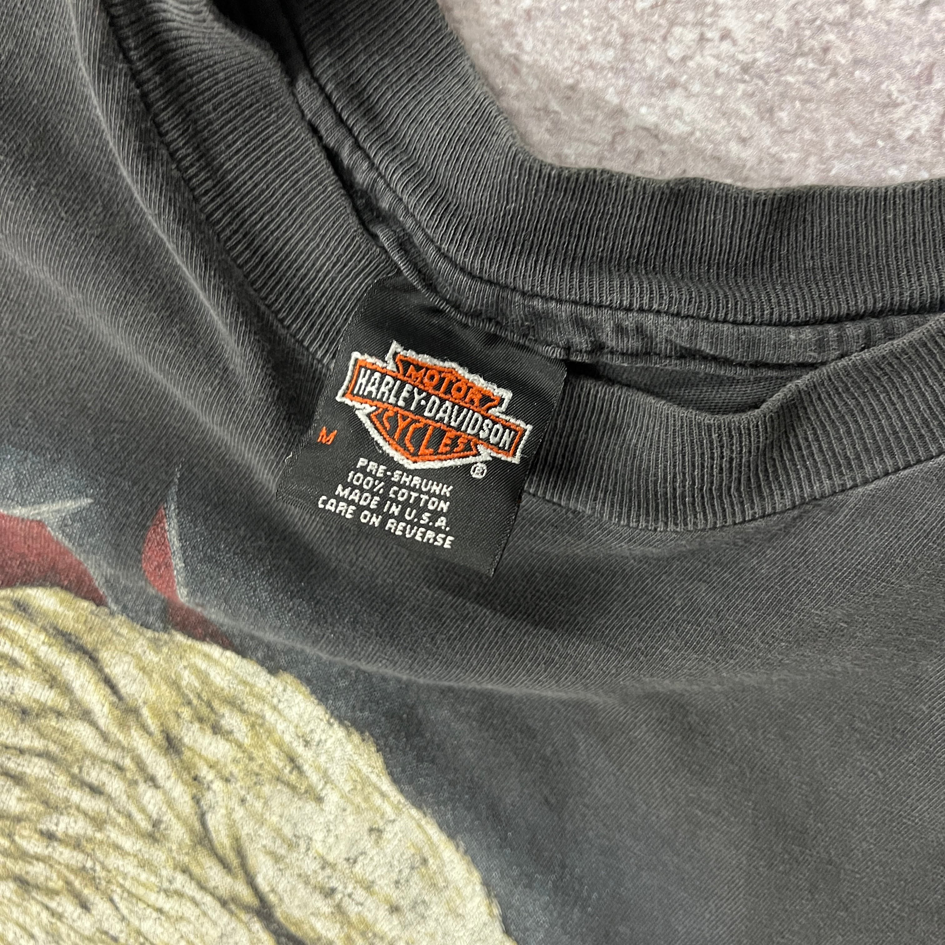 90s Harley Davidson Springfield, MA Distressed Tank Top M
