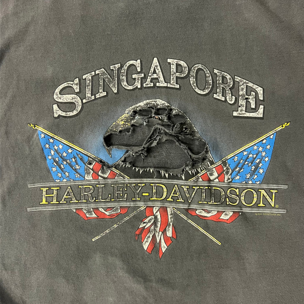 Y2K Harley Davidson Distressed Sun Faded Tee L