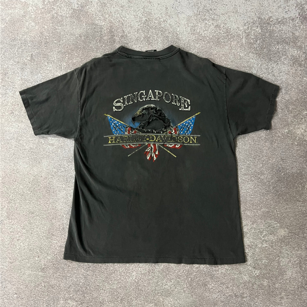 Y2K Harley Davidson Distressed Sun Faded Tee L