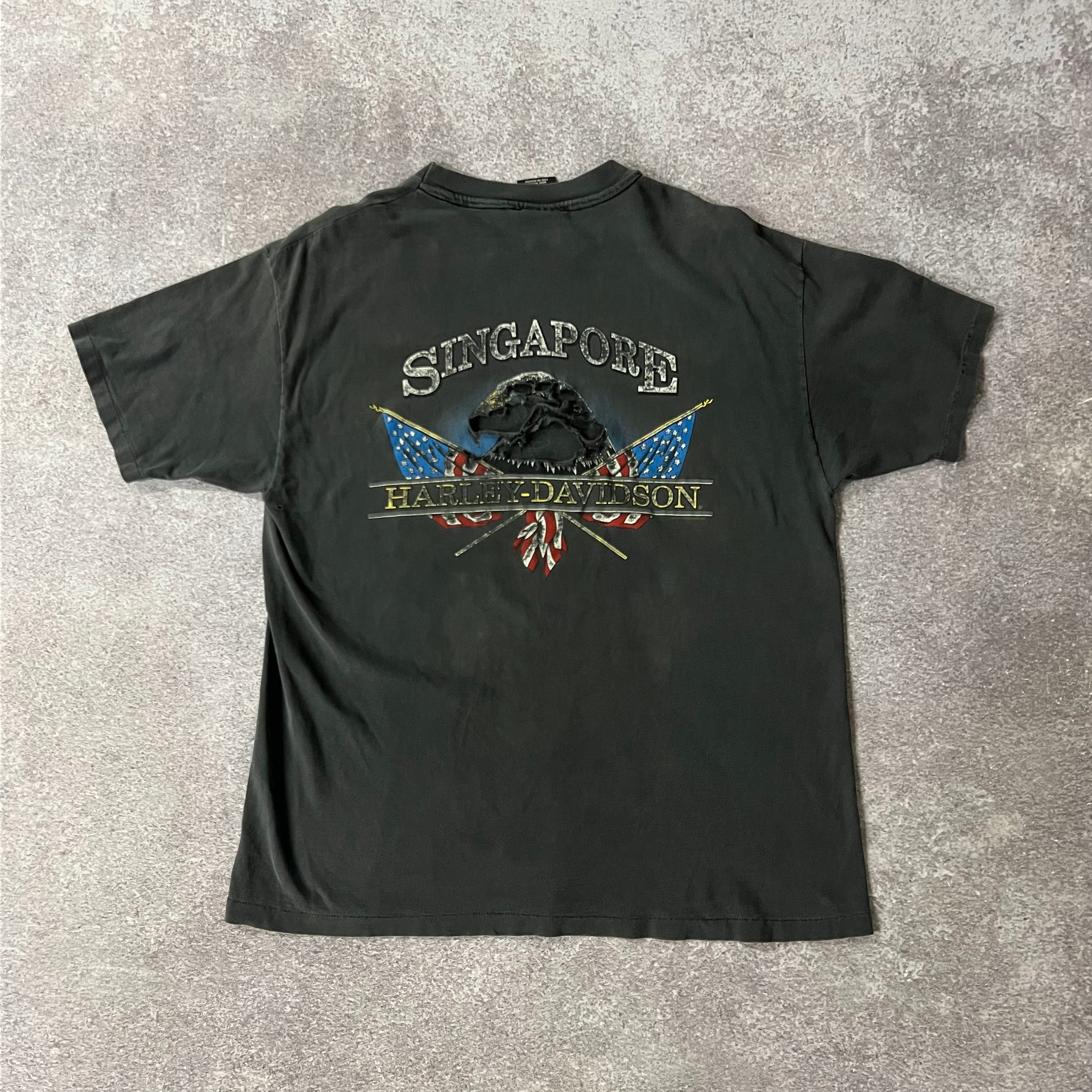 Y2K Harley Davidson Distressed Sun Faded Tee L