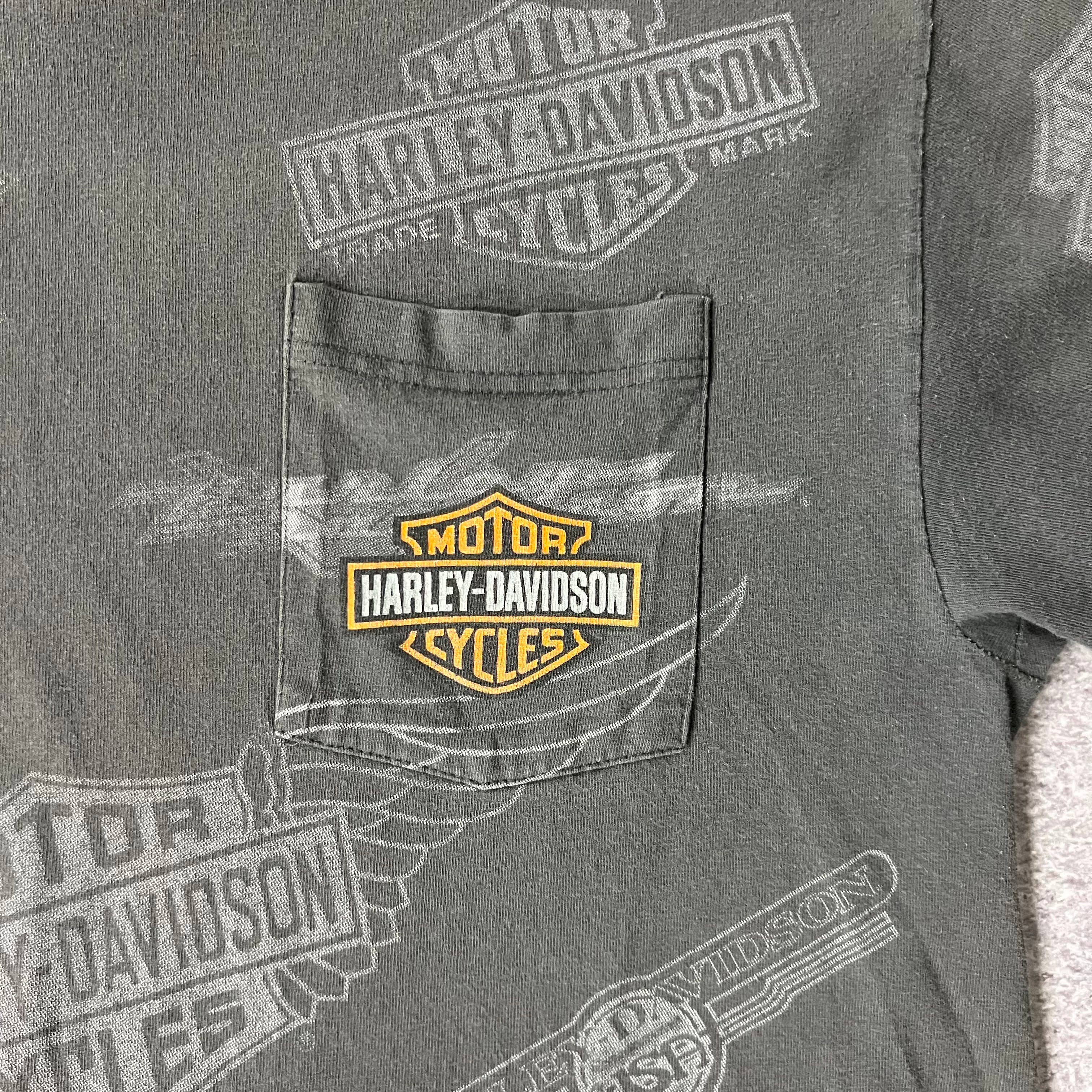 Y2K Harley Davidson Gray Worn In Tee L