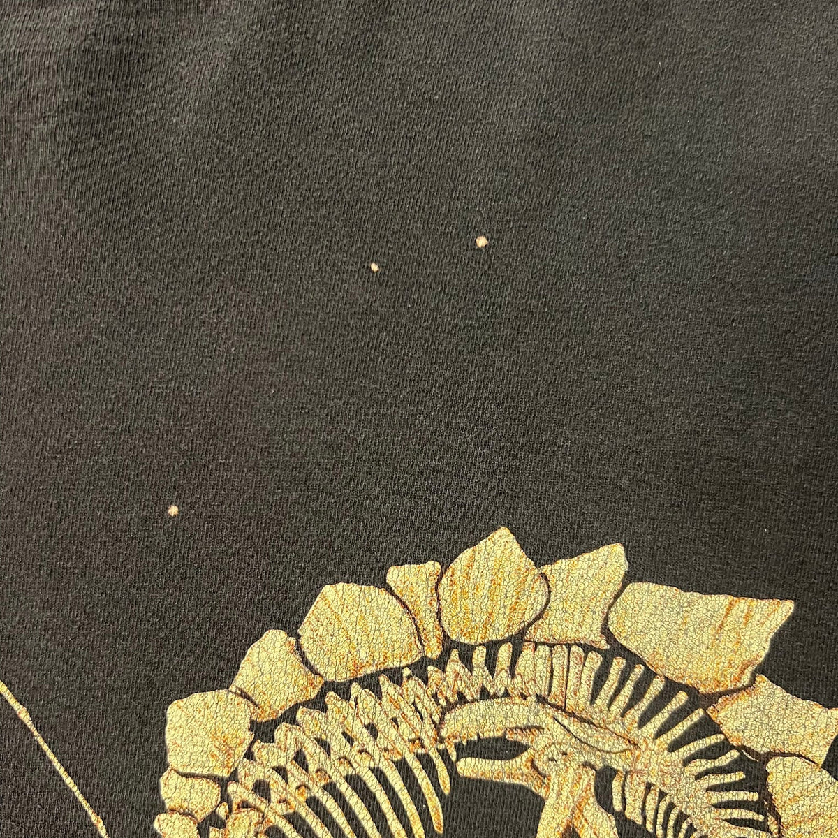 90s Wild Cotton Back Graphic Cracked Print Sun Faded Single Stitch Tee XL