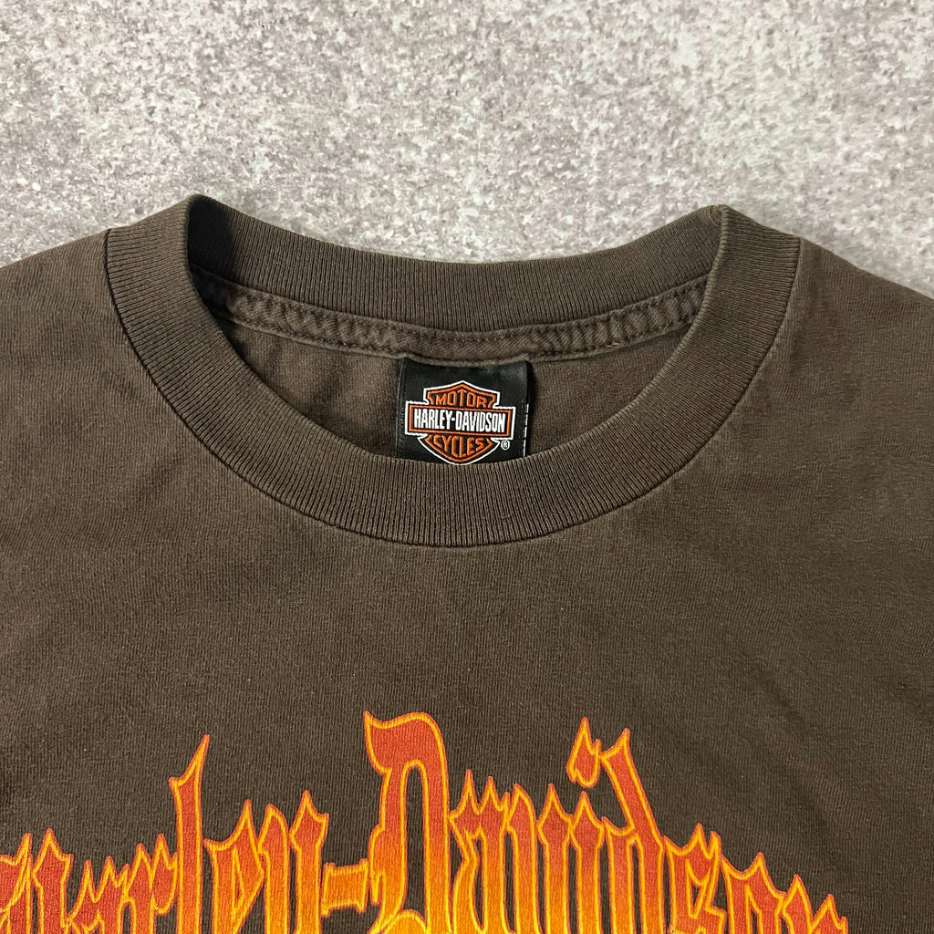Y2K Harley Davidson Maryland Brown Worn In Long Sleeve Tee XL