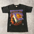 90s Phoenix Suns Nutmeg Mills Back Graphic Faded Tee L