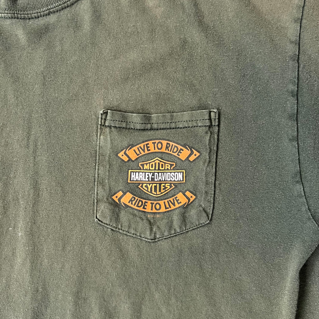 2010s Harley Davidson New York Green Worn In Tee L